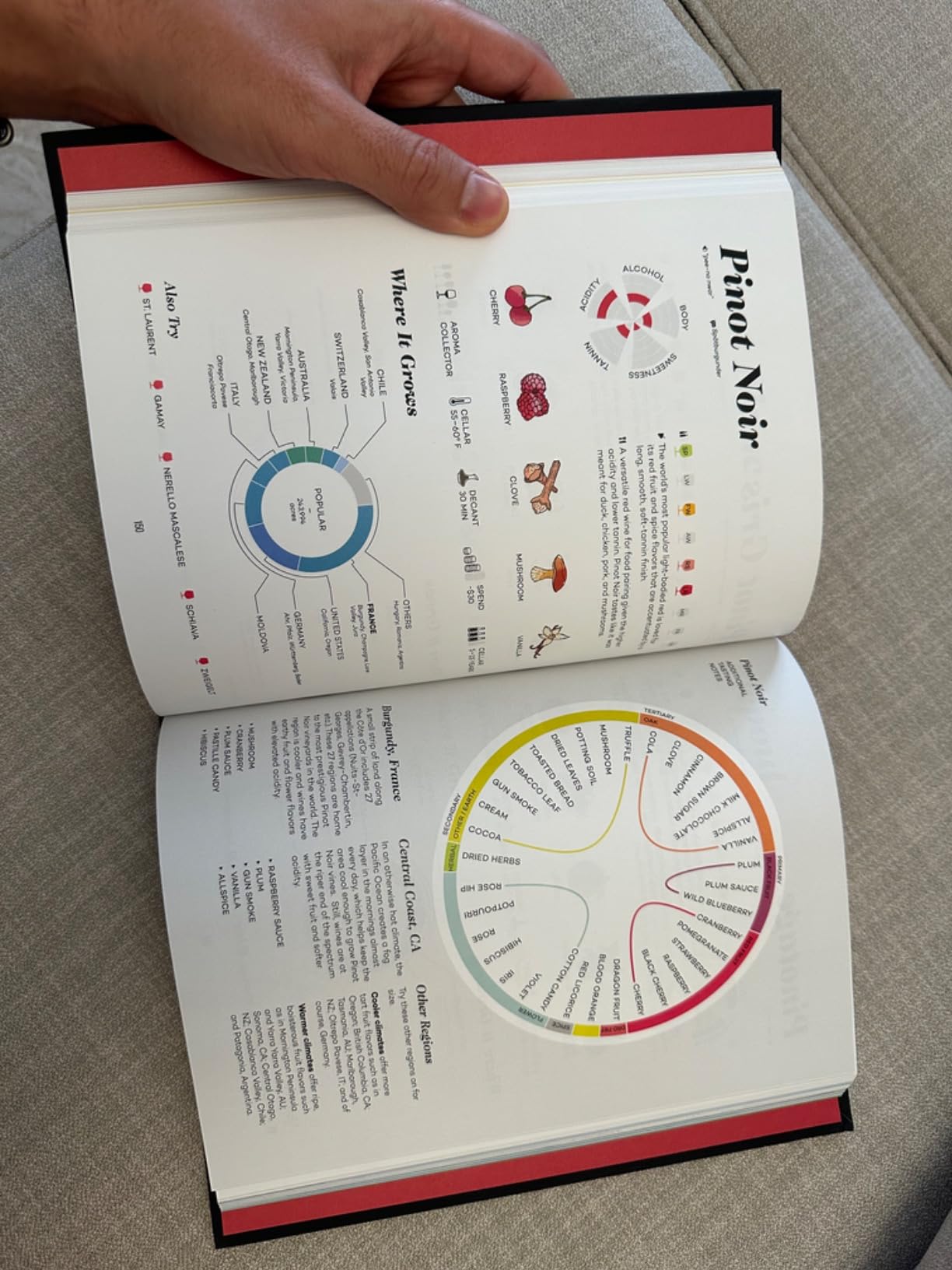 Wine Folly: Magnum Edition: The Master Guide customer photo 1