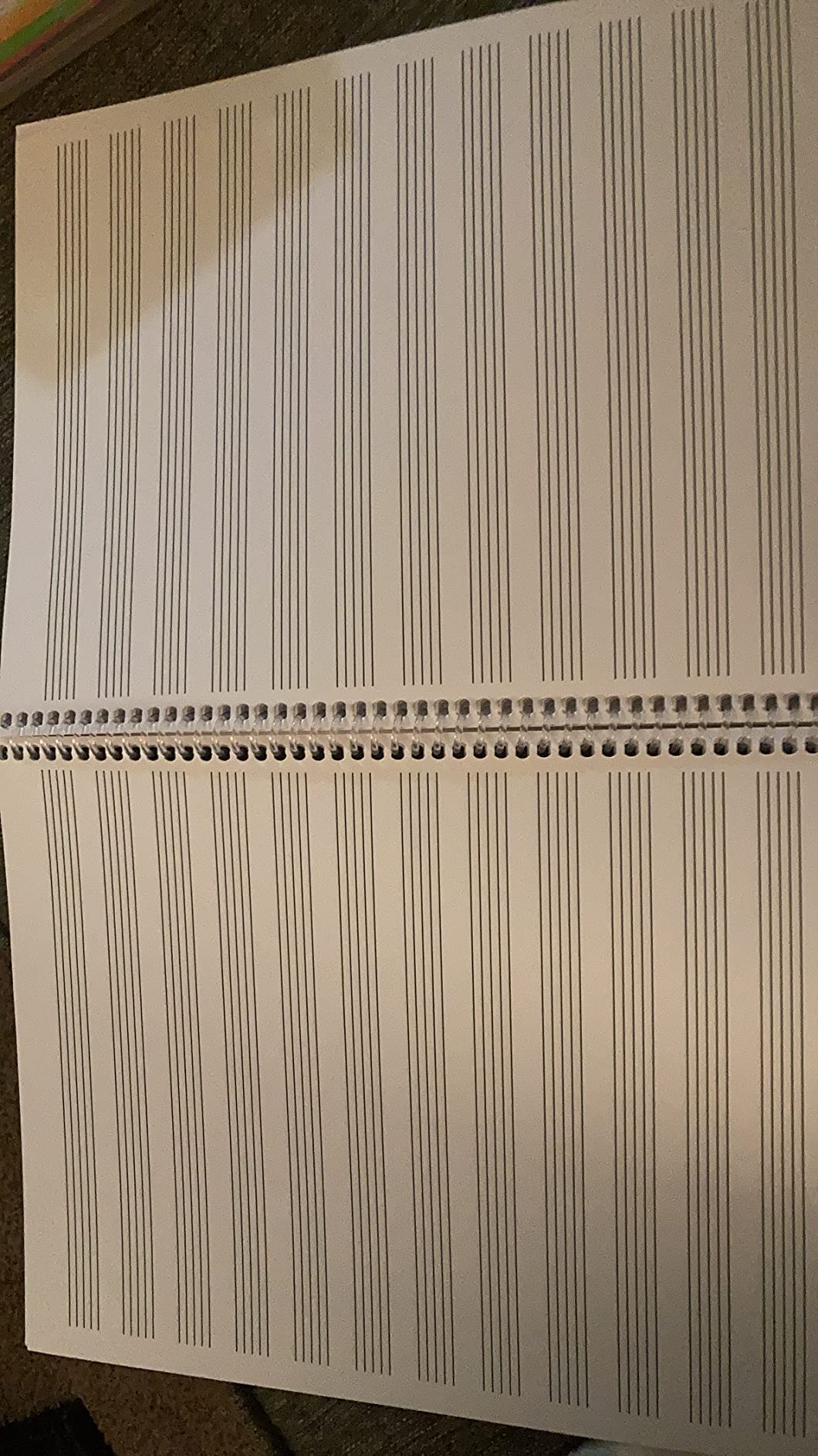 Manuscript Paper - Hal Leonard Standard Wirebound | 96-Page Music Writing Notebook with 12 Staves per Page | Spiral-Bound Staff Paper for Composers, Students, and Teachers | Includes Notation Guide customer photo 1