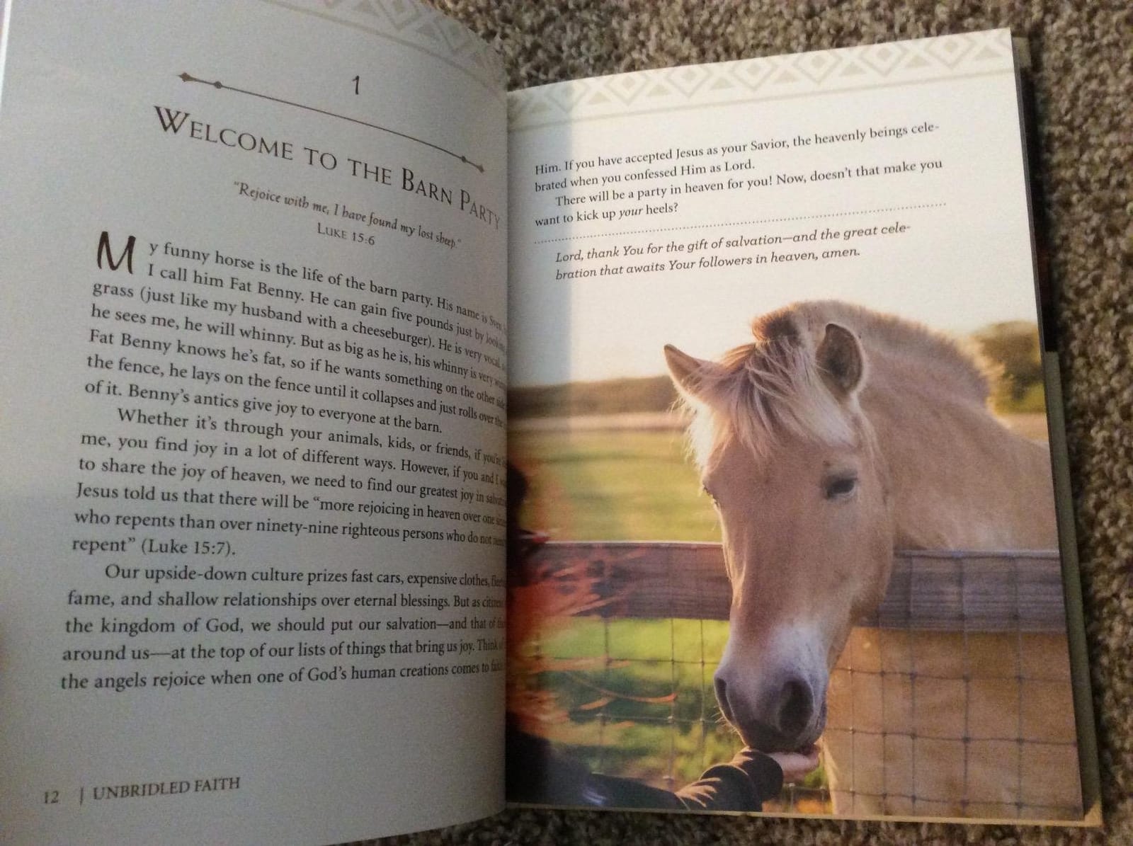 Unbridled Faith: 100 Devotions from the Horse Farm - A Daily Devotional - The Perfect Christian Gift for Horse Lovers and Equestrian Enthusiasts customer photo 2