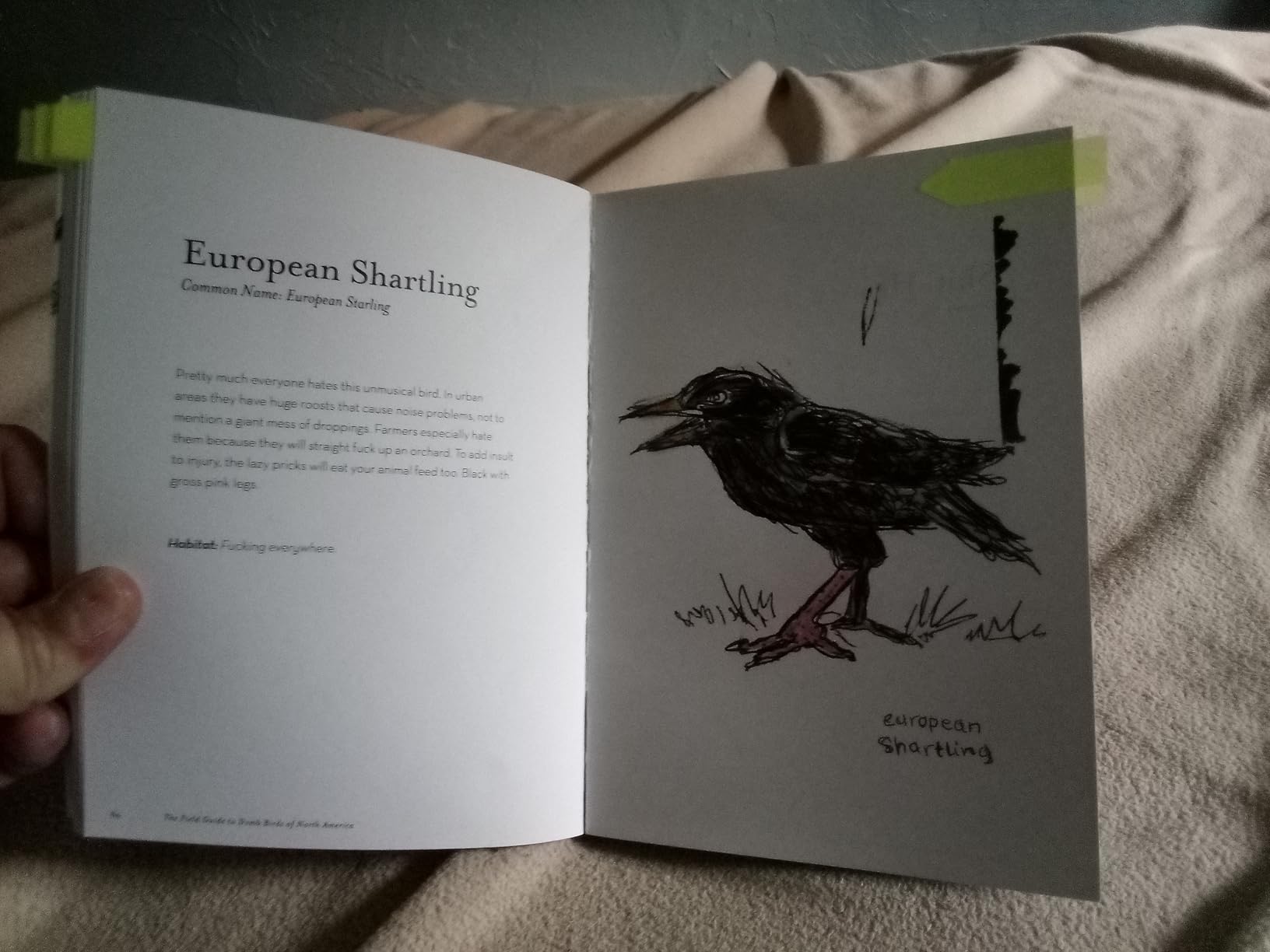 The Field Guide to Dumb Birds of North America (Bird Books, Books for Bird Lovers, Humor Books) customer photo 2