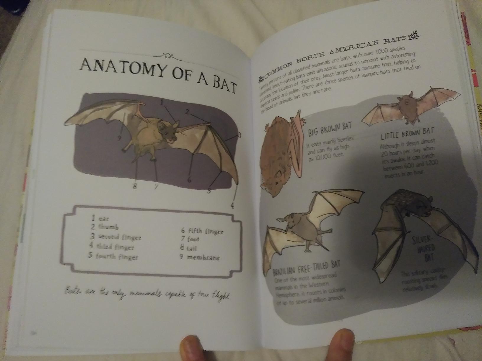 Nature Anatomy: The Curious Parts and Pieces of the Natural World customer photo 1