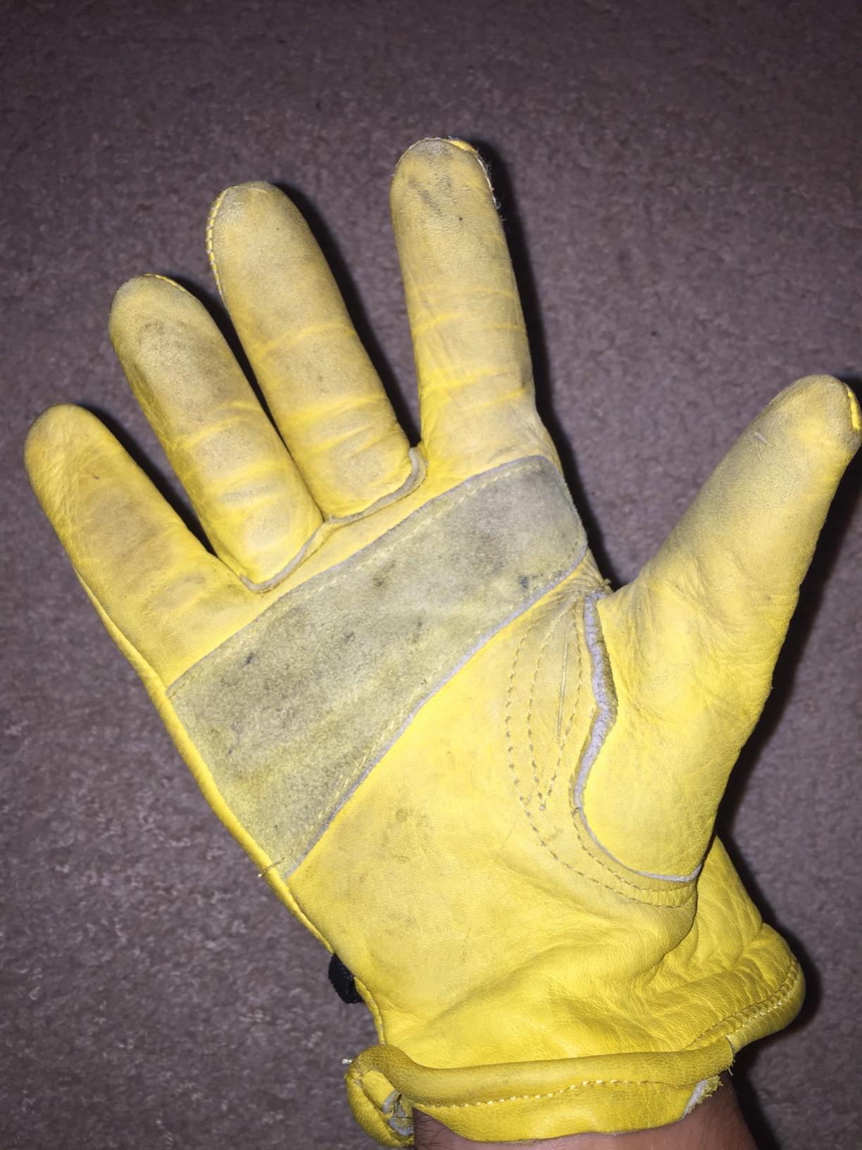 Wells Lamont Work Gloves Men and Women, Cowhide Leather Work Gloves, Adjustable Wrist customer photo 2