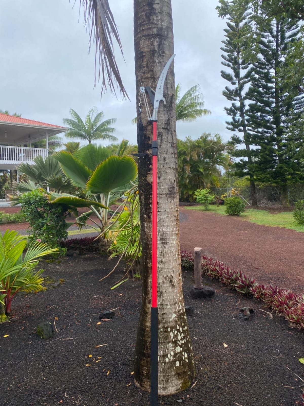 Corona TP 6870 MAX RazorTOOTH DualCOMPOUND Action 14-ft. Tree Pruner customer photo 1