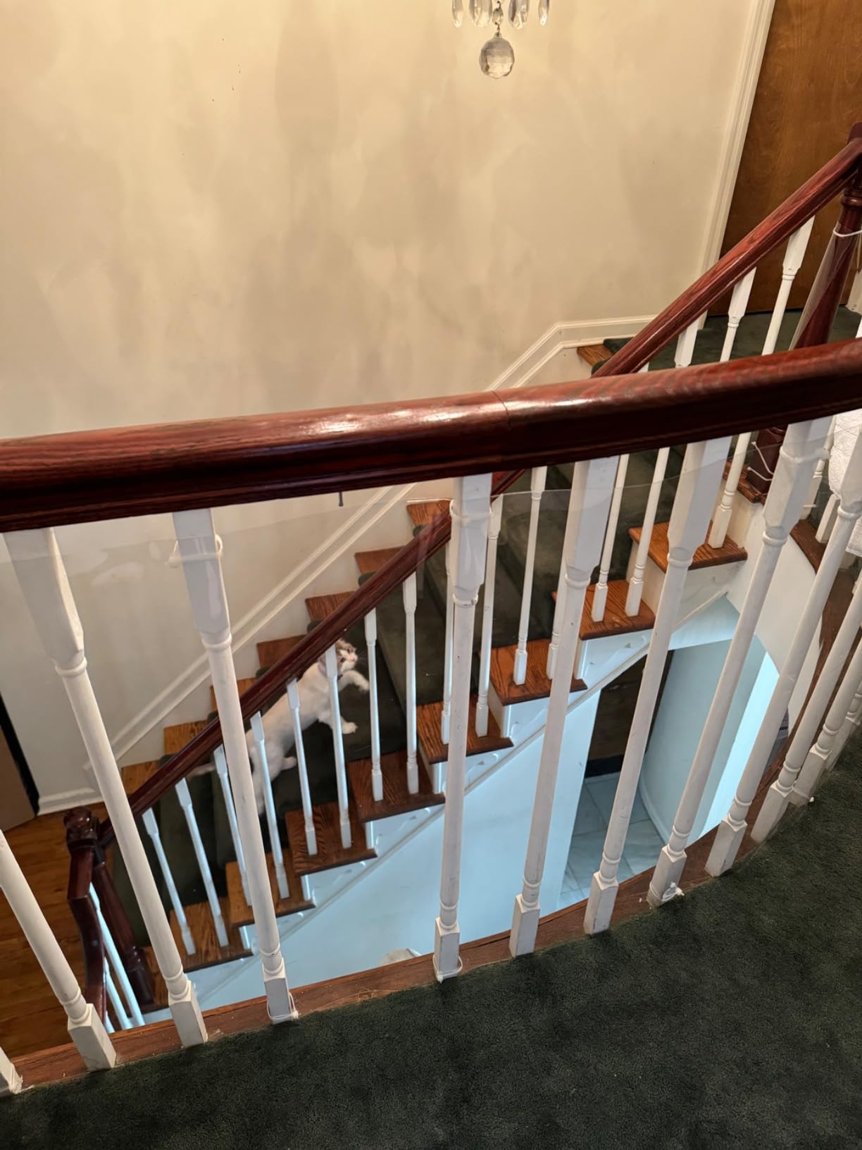 KidKusion Banister Guard for Childproofing and Pet Safety | Made in USA | 15' L x 33