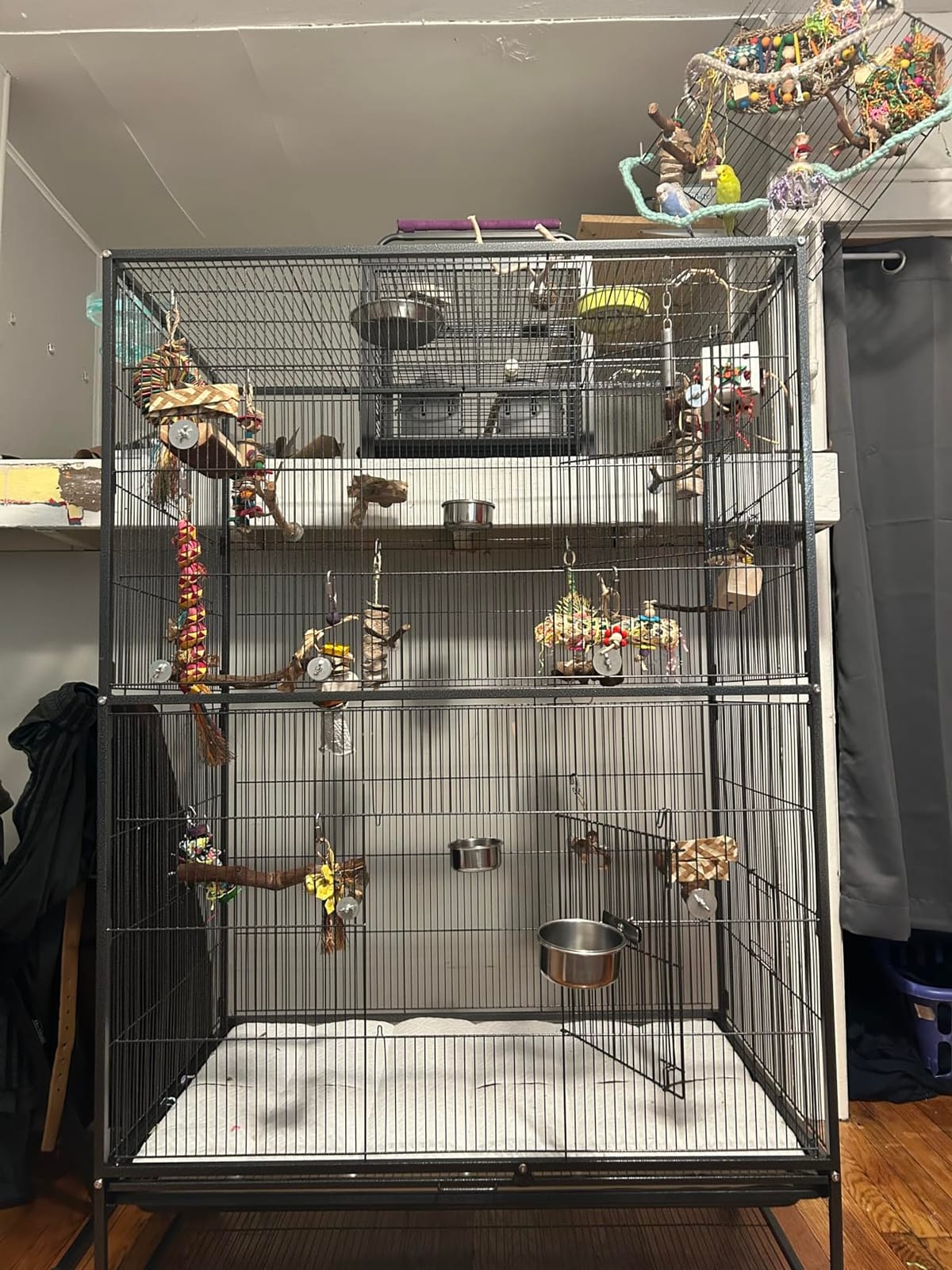 Prevue Hendryx Pet Products Wrought Iron Flight Cage - Big Rolling Bird Cage for Parakeets, Cockatiels, Conures, Lovebirds, Canaries, Finches, Parrotlets, & Caiques, 5 Ft - X-Large, Hammertone Black customer photo 1