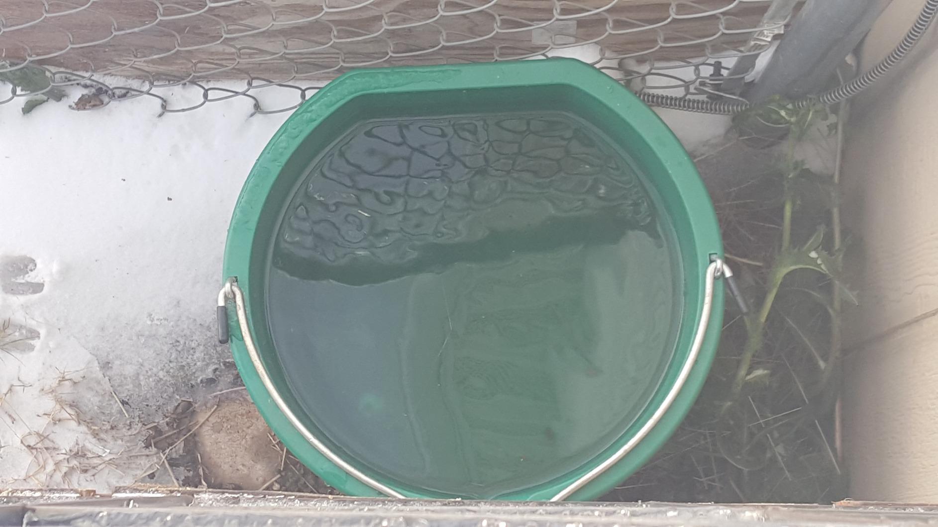 Farm Innovators FB-120 Plastic Flat Back Heated Bucket, 5-Gal (20-Qt) 120W customer photo 2