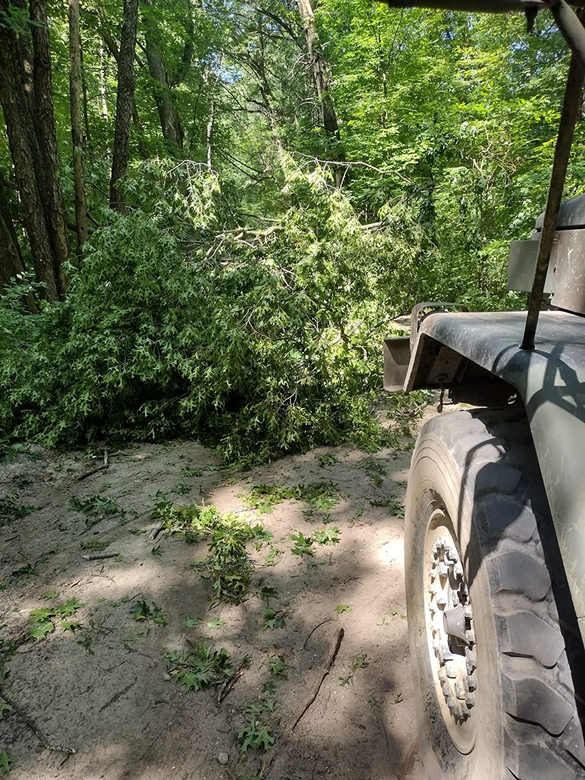 Grip 30 ft x 4 in Heavy Duty Tow Strap - Breaking Capacity: 20,000 lbs - Truck, ATV, Jeep, UTV, Tractor - Emergency, Towing, Offroad - Reinforced Looped Ends customer photo 2