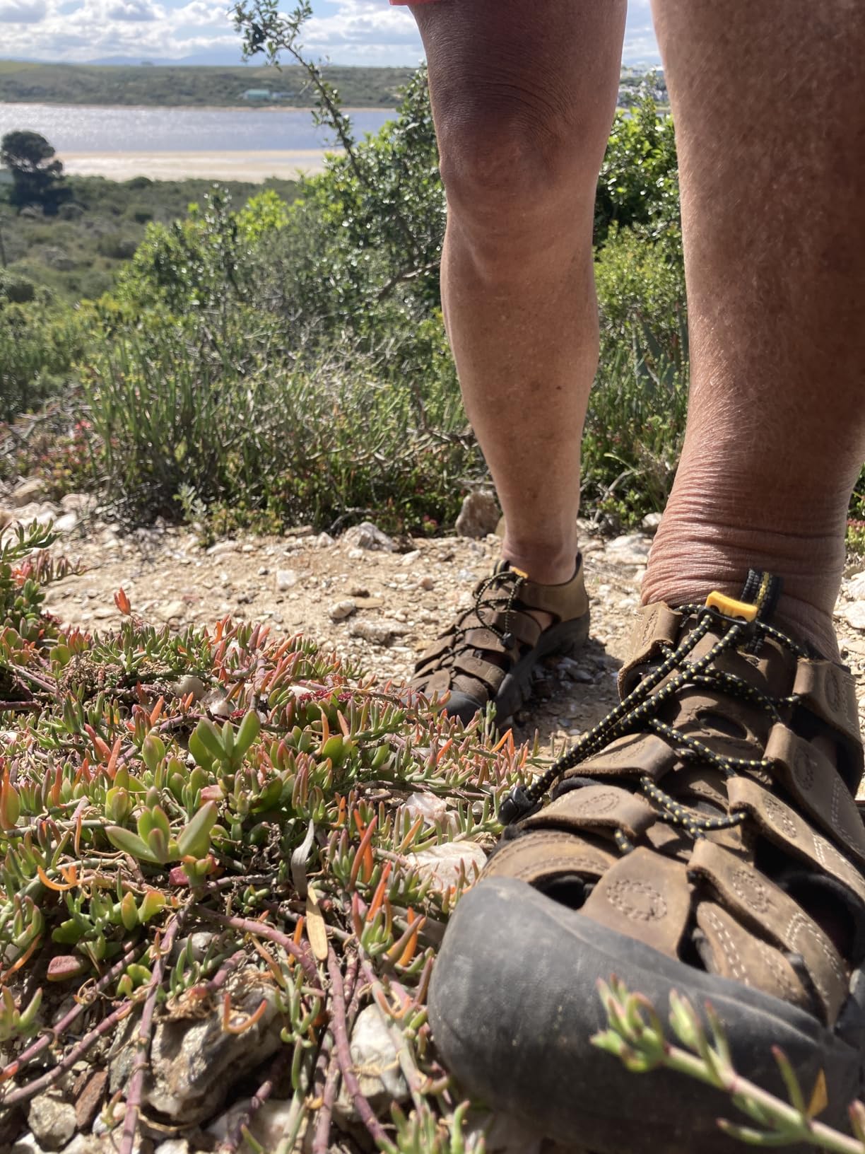 KEEN Newport Leather Sandals customer photo 1