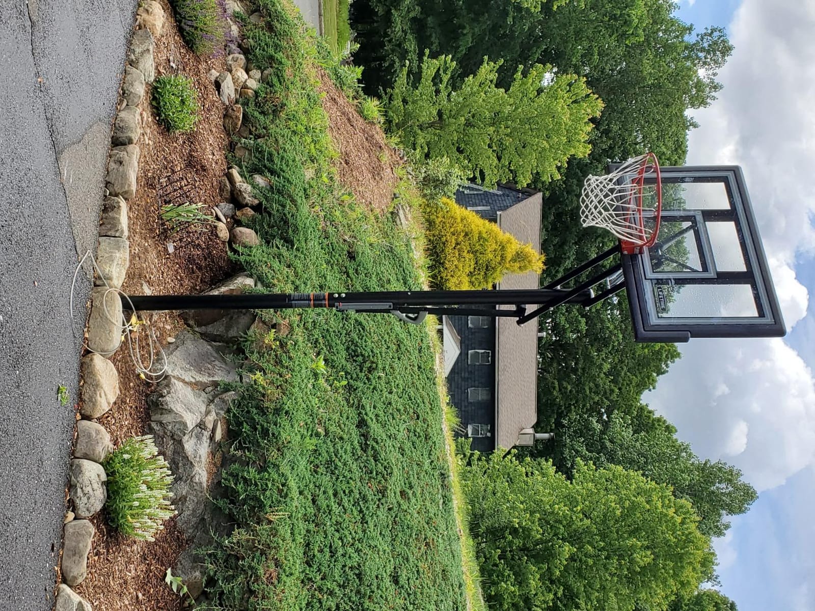 Lifetime 1084 Height Adjustable In Ground Basketball System, 50 Inch Shatterproof Backboard customer photo 1