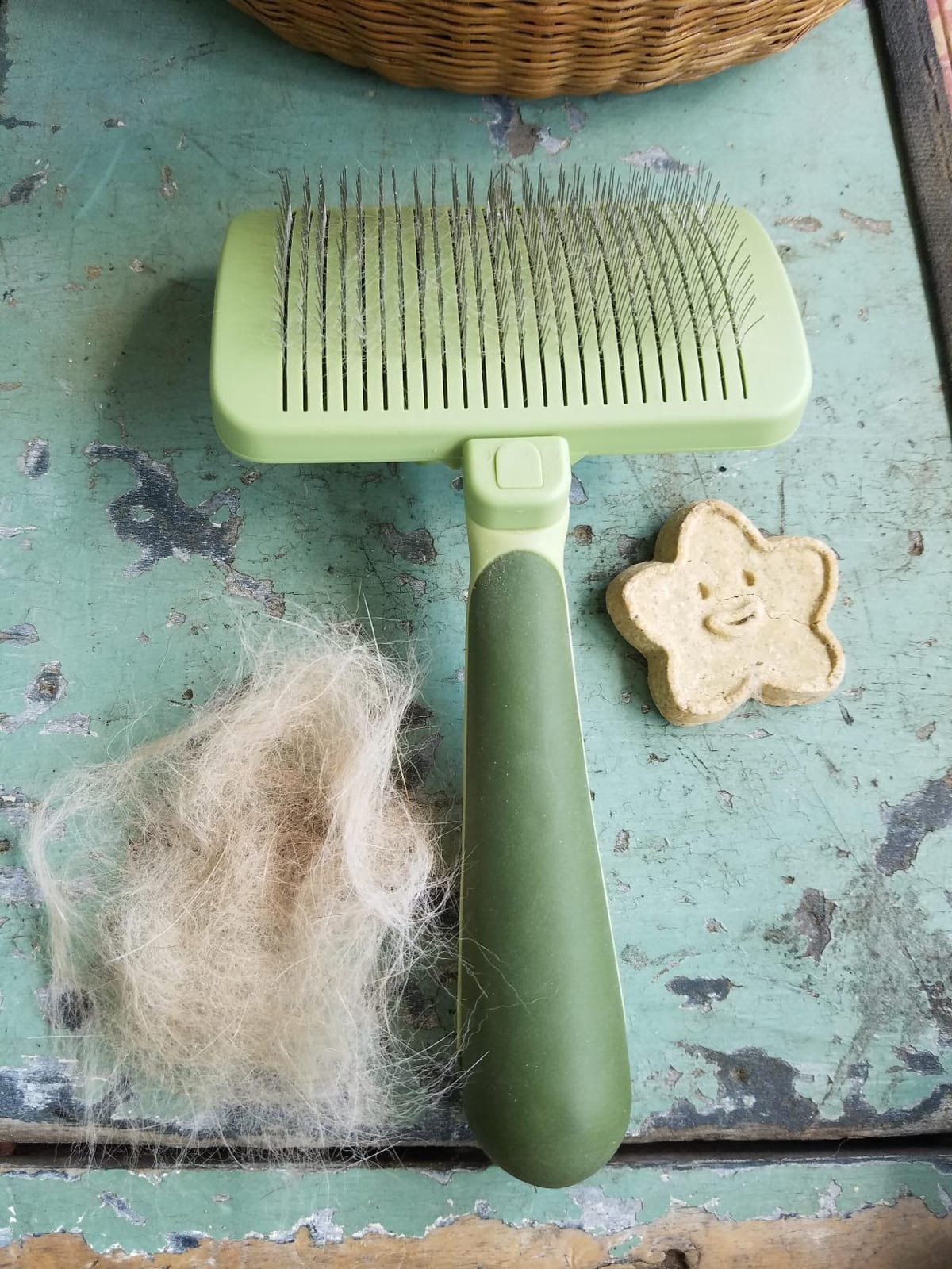 Coastal Pet Safari Dog Self-Cleaning Slicker Brush - Dog Deshedding Brush - Prevents Mats and Tangled Hair - For Dogs with Short or Long Hair - Medium - 4.25