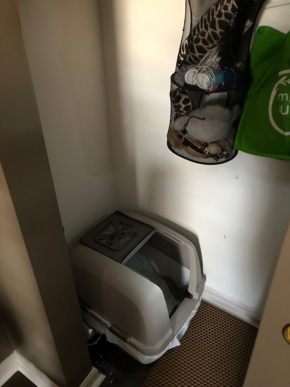 Litter Champ Cat Litter Disposal System, Hands-Free Pedal Trash Can customer photo 2