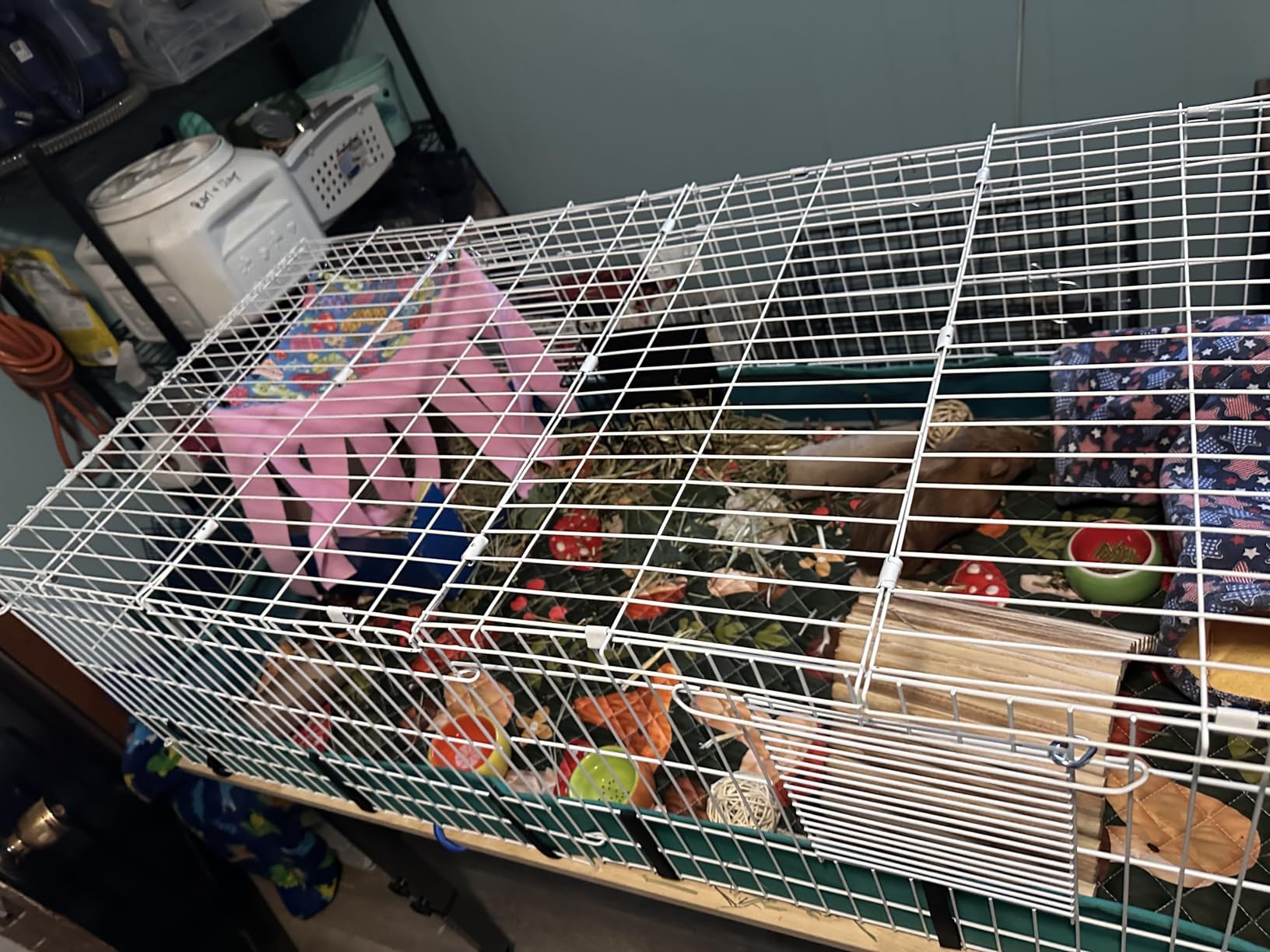 MidWest Homes for Pets Guinea Habitat Plus Cage, Includes Divider Panel and Hinged Top, Washable PVC Canvas Bottom, Expandable Small Animal Cage for Guinea Pigs, 171GHP customer photo 1