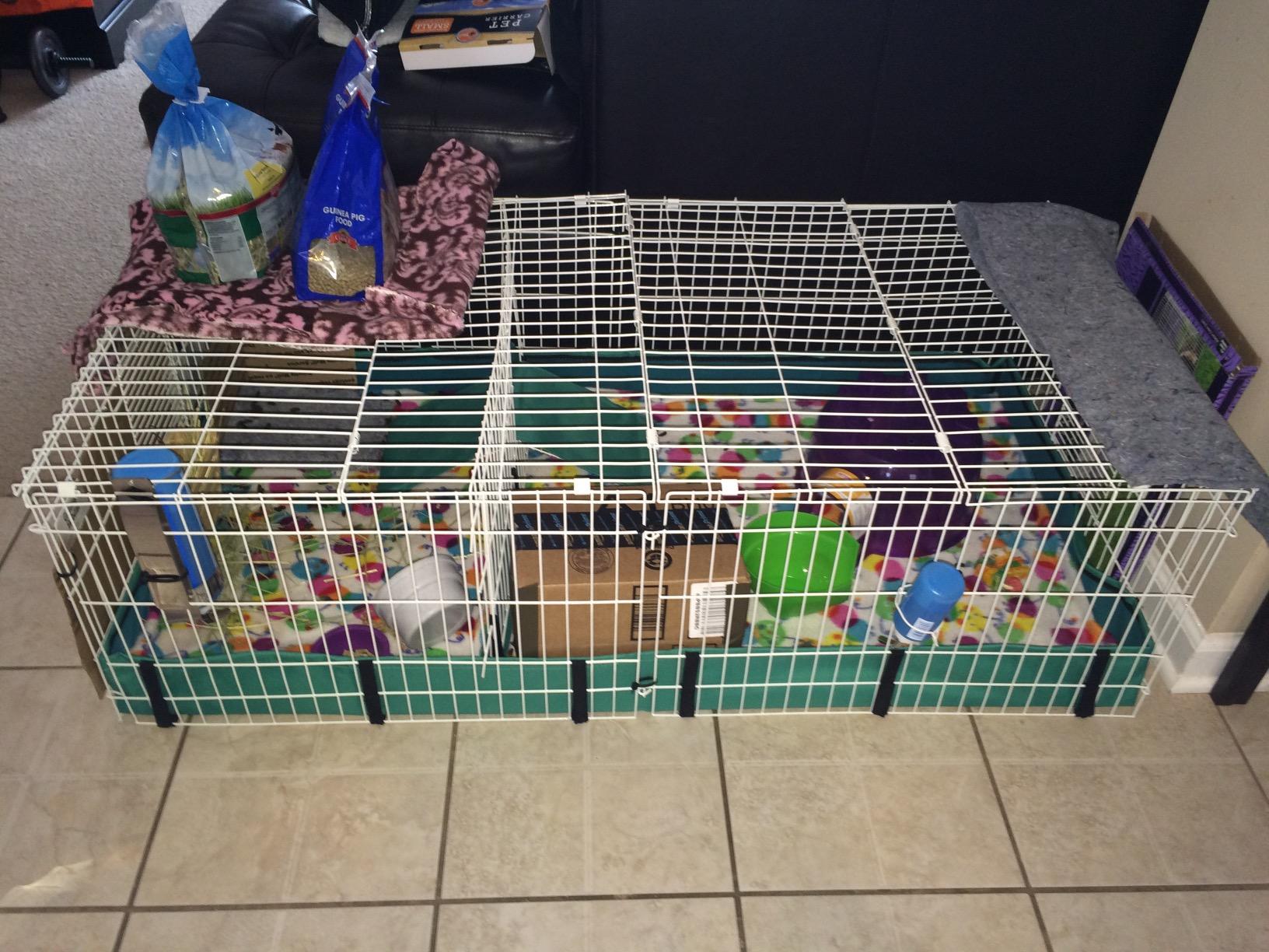 MidWest Homes for Pets Guinea Habitat Plus Cage, Includes Divider Panel and Hinged Top, Washable PVC Canvas Bottom, Expandable Small Animal Cage for Guinea Pigs, 171GHP customer photo 2