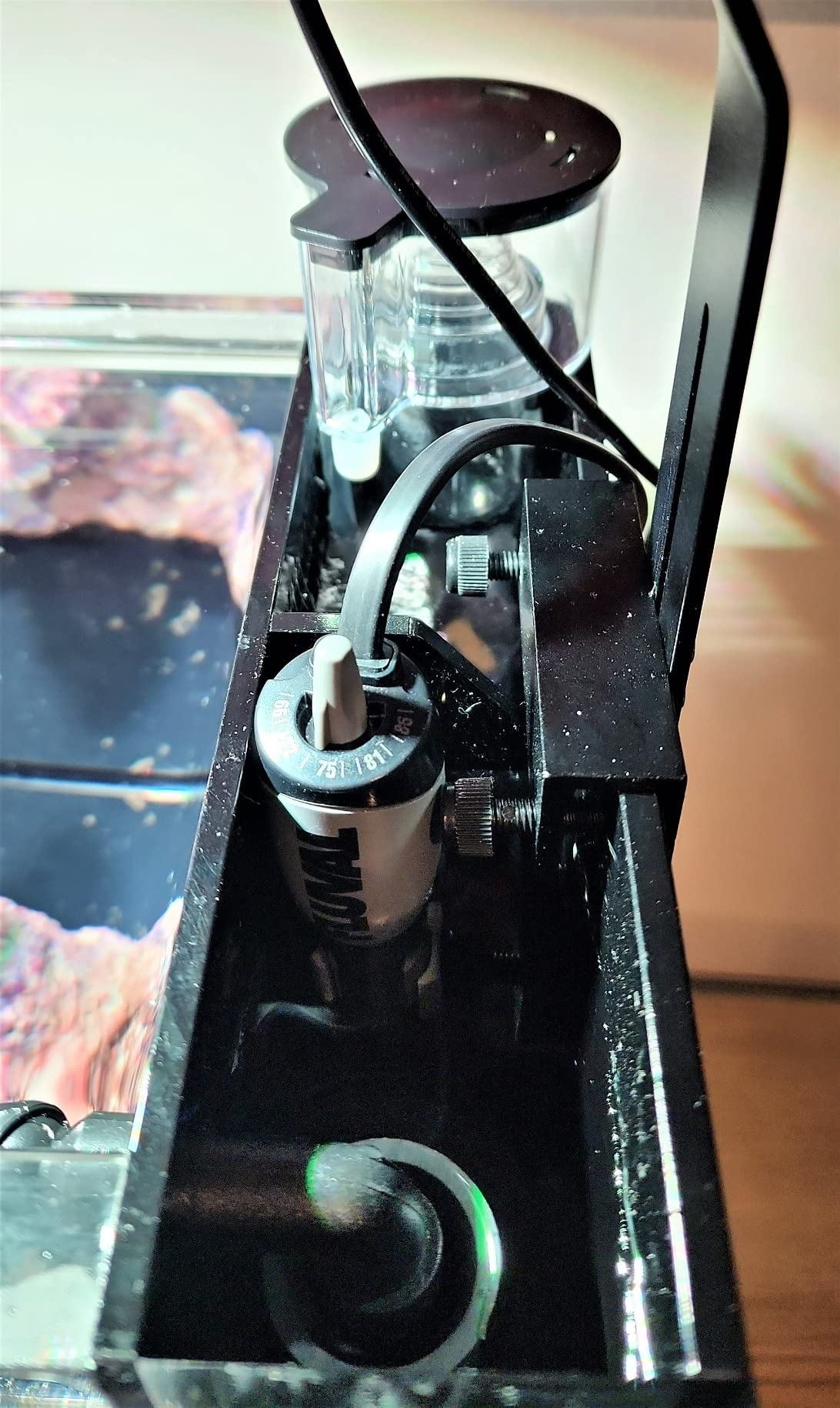 Fluval M 50-Watt Submersible Aquarium Heater for Fresh & Saltwater Tanks customer photo 1