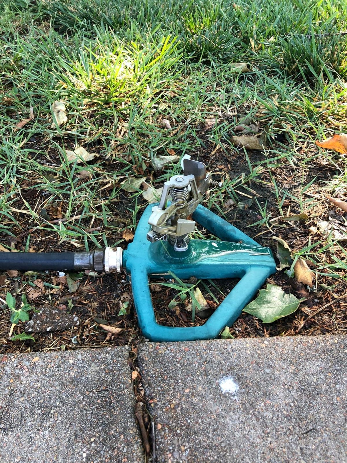 Orbit 56186N Lawn and Garden 1/2-Inch Brass Impact Sprinkler with Metal Wheel Base customer photo 1