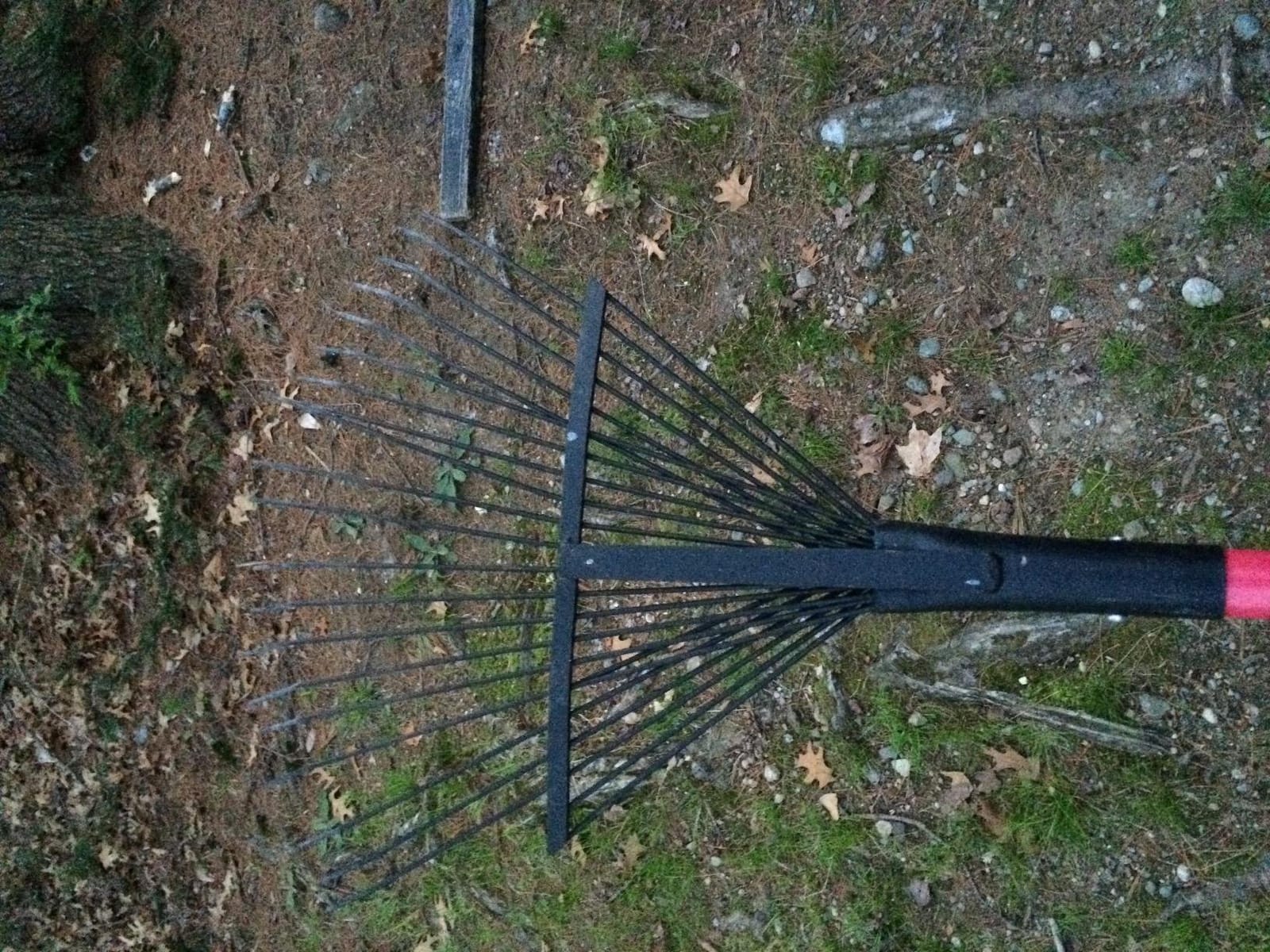 Bully Tools 24-Tine Thatching Garden Rake for Leaves | Heavy Duty Metal Leaf Rake | Dethatching Large Leaves and Yard Debris, 23.5