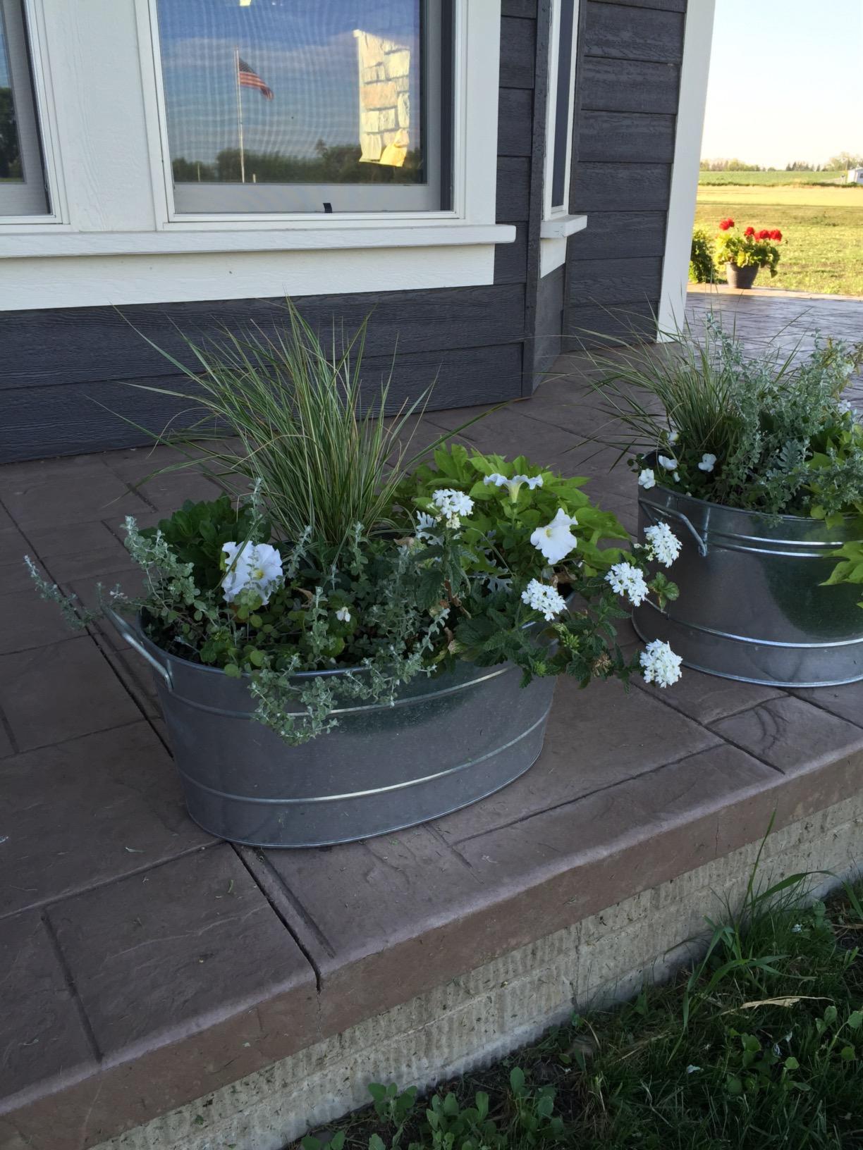 Achla Designs C-50 Galvanized Steel round tub, Standard customer photo 1