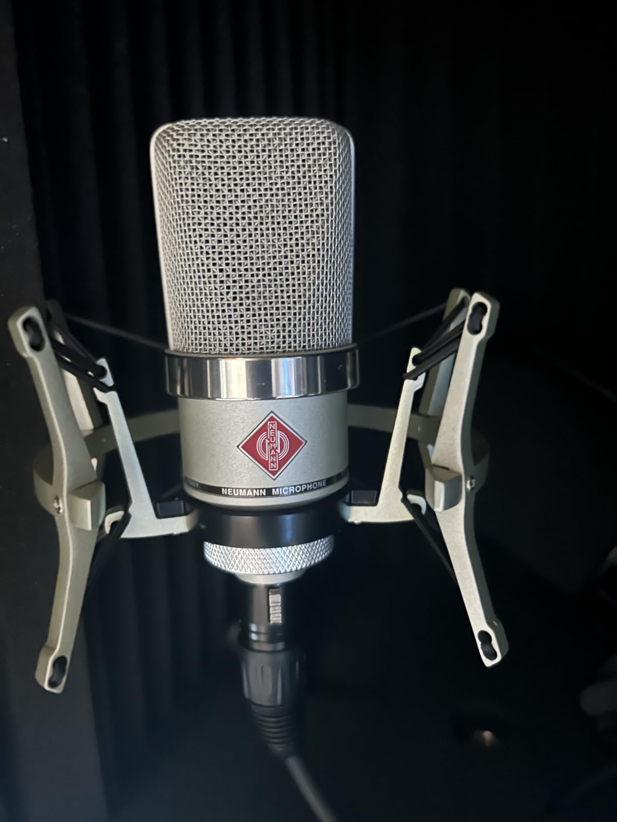 Neumann TLM 102 Large-Diaphragm Condenser Microphone - Nickel customer photo 2