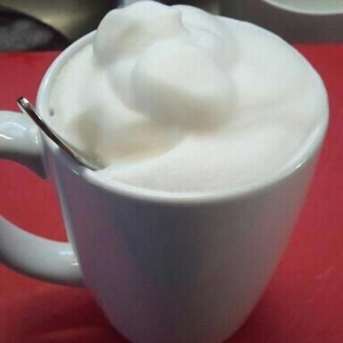 Capresso 202.04 froth PRO Automatic Milk Frother and Hot Chocolate Maker customer photo 2