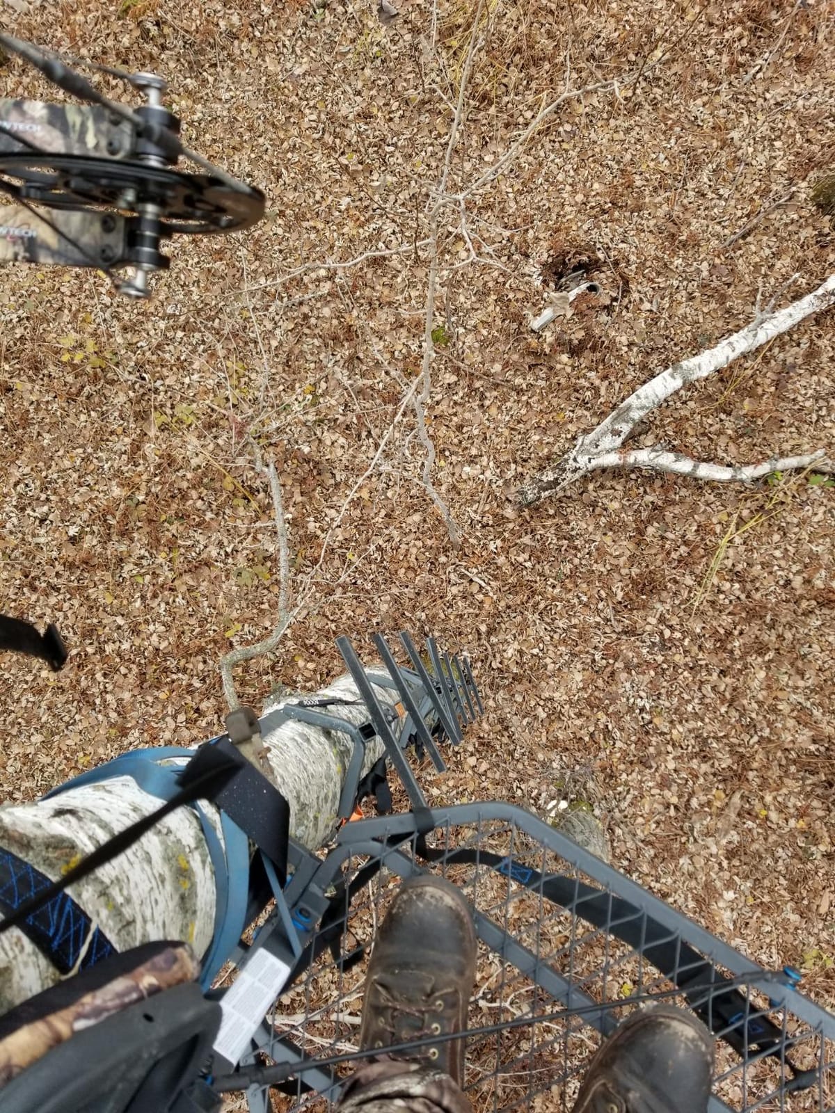 Guide Gear Quick Tree Climbing Sticks Ladder Steps for Treestands Deer Hunting Gear and Accessories, 3 Pack customer photo 1