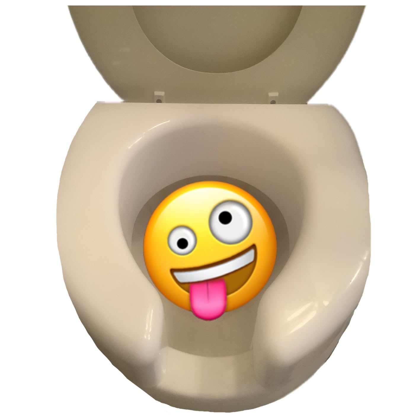 SP 3 Inch Extender Booster Elevated Raised Toilet Seat Risers for Seniors Adults Elderly Handicap Disabled Fits Most Standard and Elongated Toilets - White customer photo 1