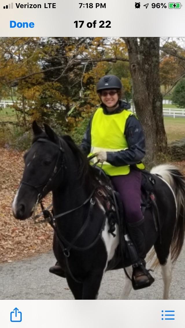 Reinsman Contoured Trail Pad with Breathable Non-Slip Tacky Too Bottom - Comfortable Durable Shock-Absorbing Stain & UV Resistant Horse Saddle Pad with Spine Relief Channel - 30