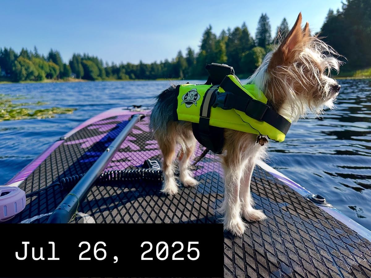 Dog Life Jacket - Swimming Vest for Dogs, Adjustable, Reflective, Comfortable, Multiple Colors, Patterns, XX-Small to Extra Large Dog Swim Vest with Handle (Red, Large) customer photo 1