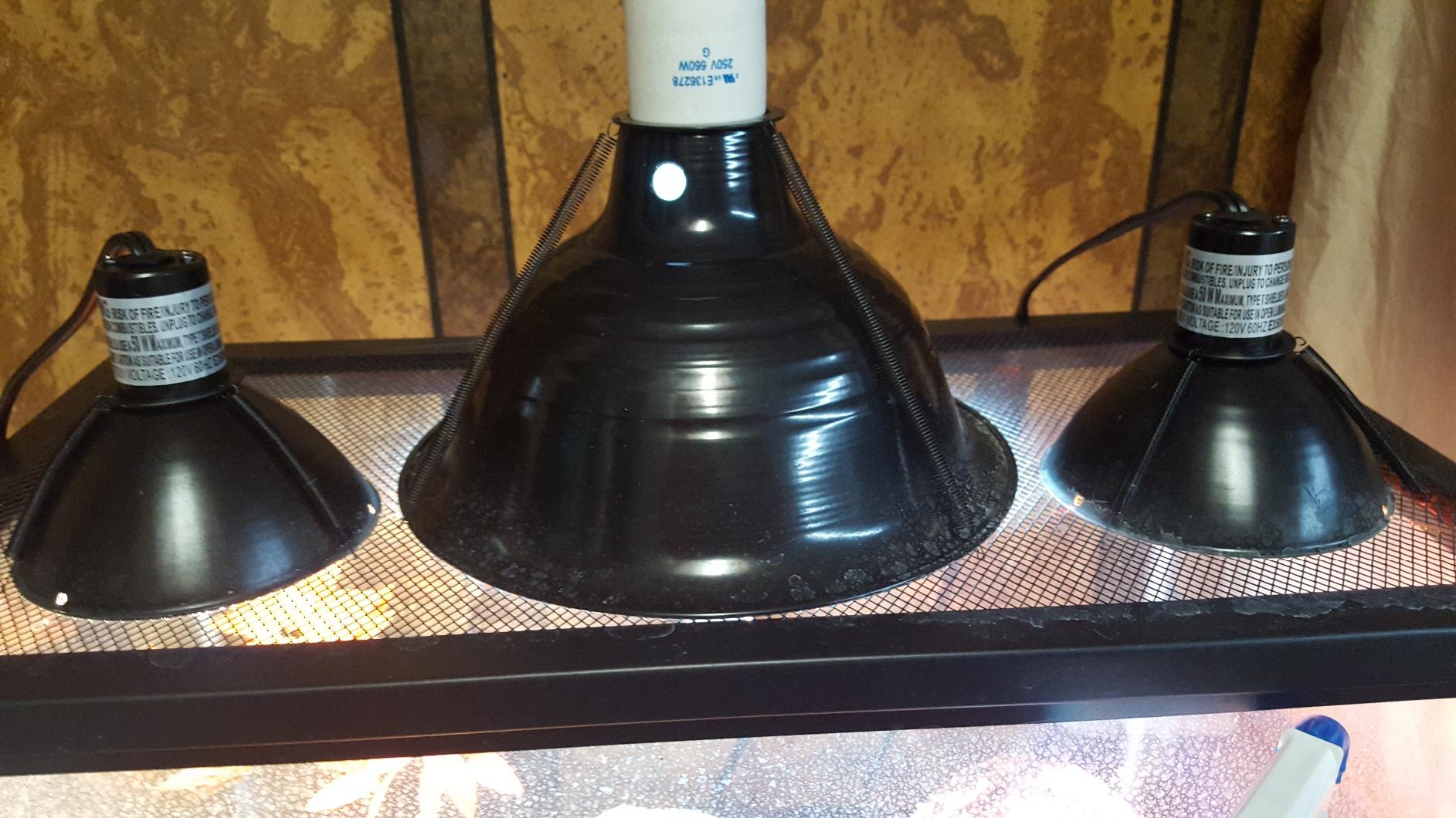 Zilla Premium Reflector Dome Reptile Heat Lamp Fixture, 8.5 Inches customer photo 1