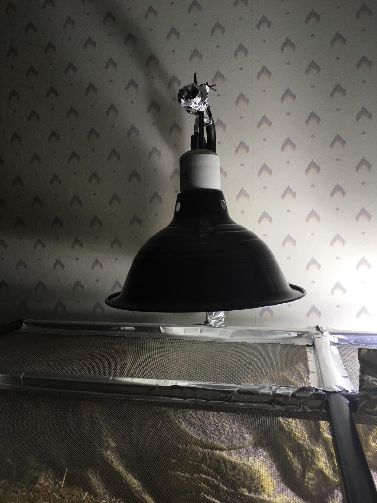 Zilla Premium Reflector Dome Reptile Heat Lamp Fixture, 8.5 Inches customer photo 2