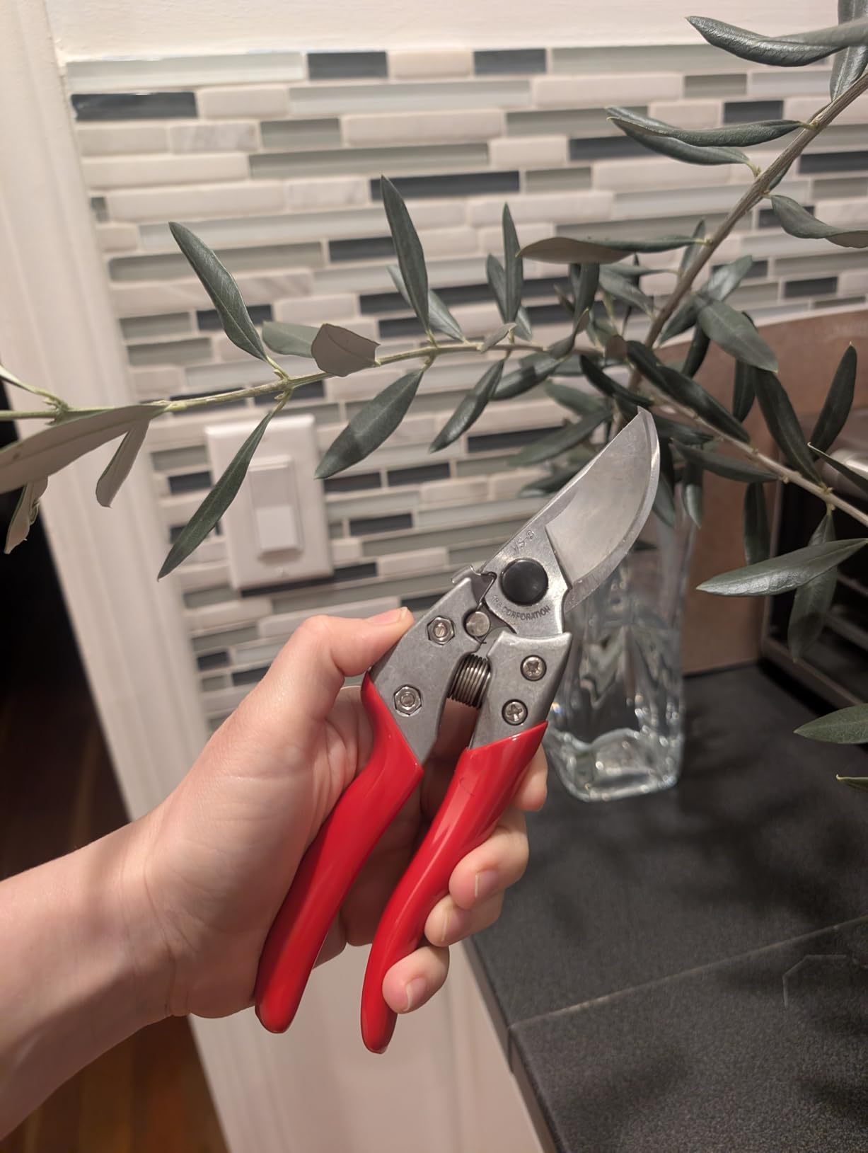 ARS HP-VS8Z Signature Heavy Duty Pruner customer photo 2