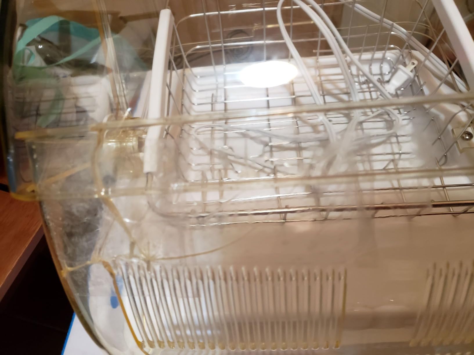 The Hurricane CPAP Equipment Dryer customer photo 2