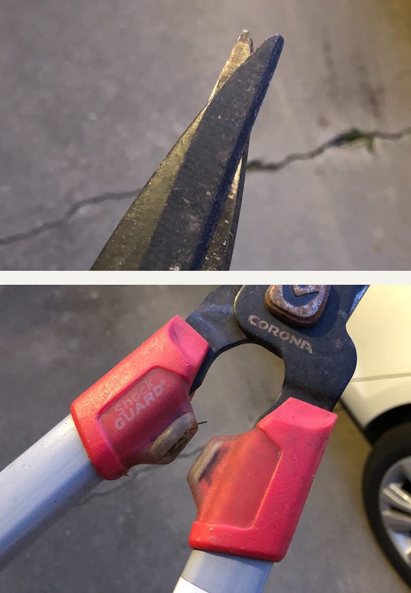 Corona Tools | 30-inch Branch Cutter ComfortGEL Bypass Loppers | Tree Trimmer Cuts Branches up to 1 ½-inches in Diameter | SL 3264 customer photo 1