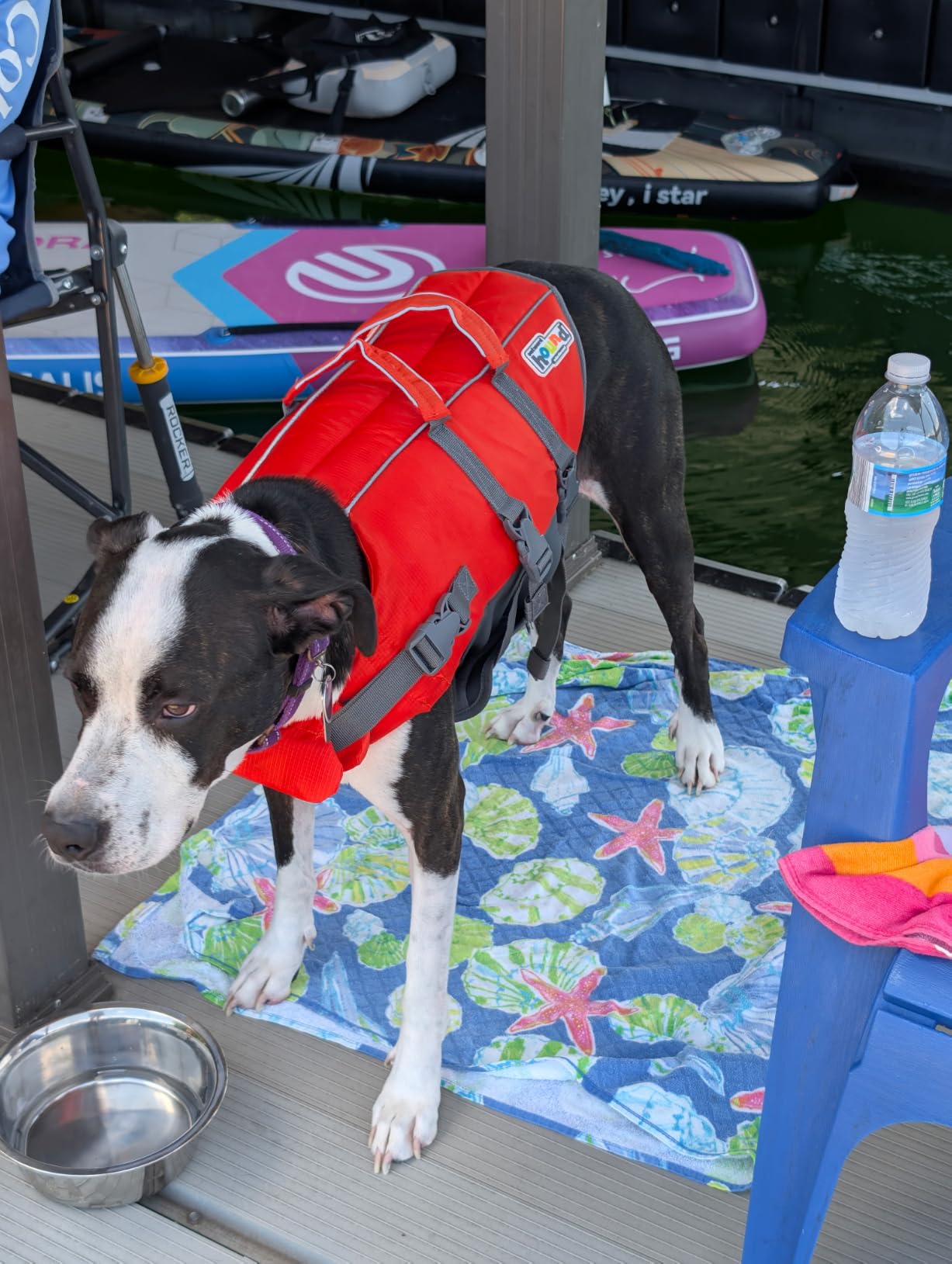 Outward Hound Granby Splash Dog Life Jacket, Life Vest, Orange, Small customer photo 1