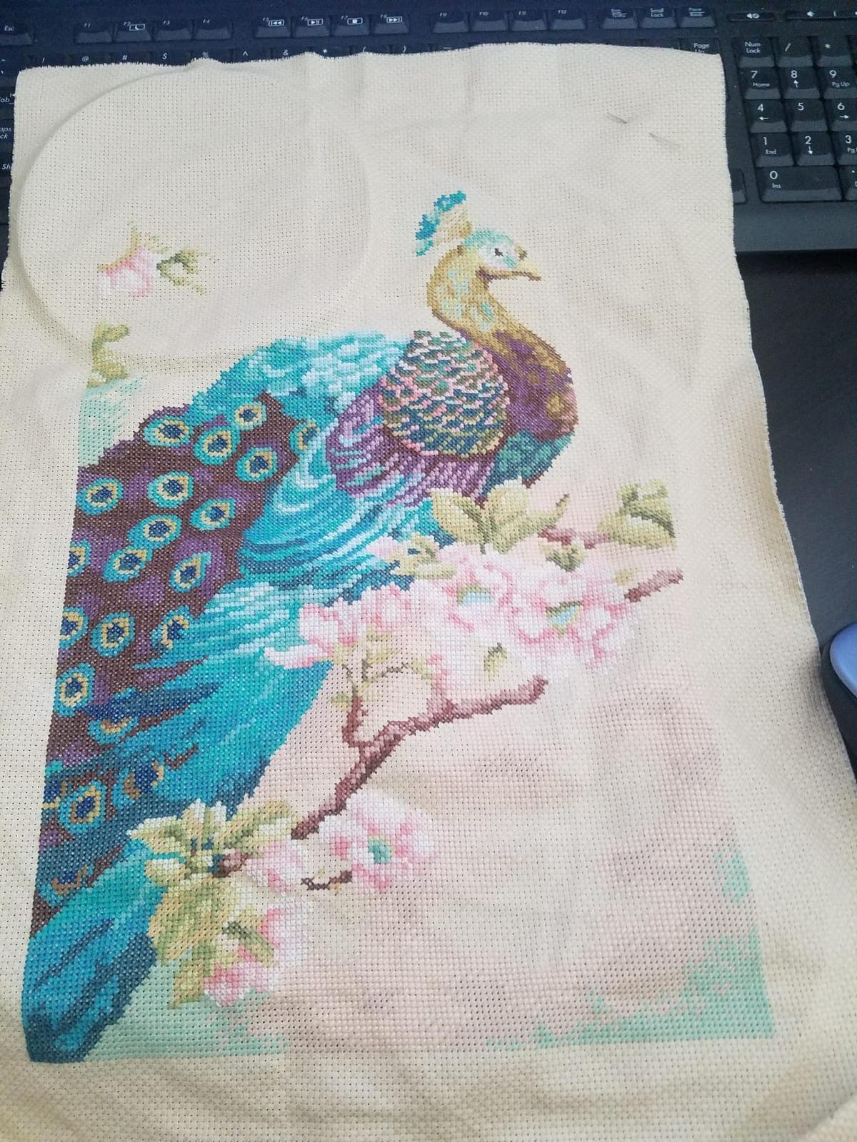 Dimensions Indian Peacock Counted Cross Stitch Kit, 14 Count Natural Aida, 9'' x 15'' customer photo 1