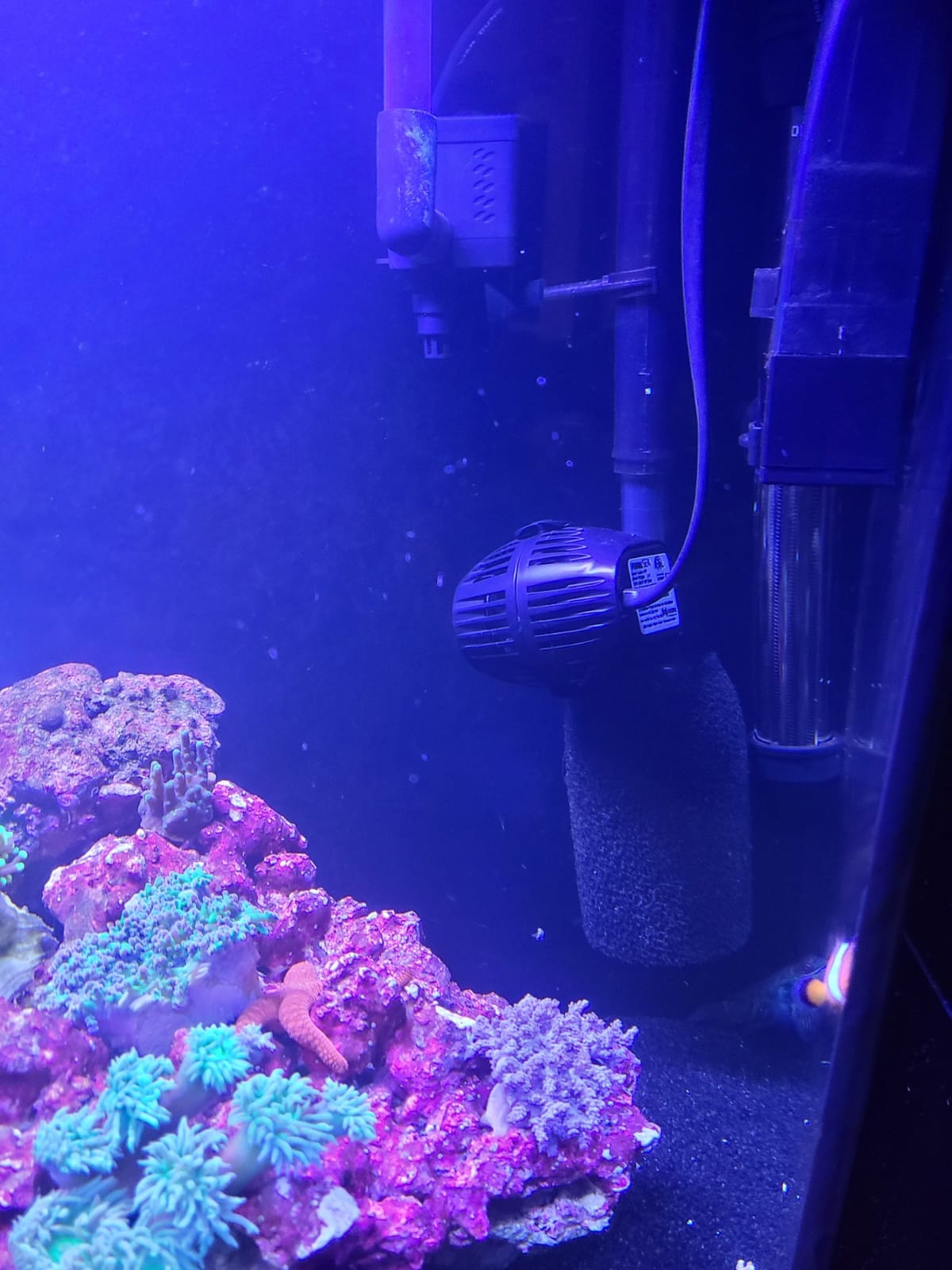 Fluval Sea CP2 Wave Maker Circulation Pump for Aquariums customer photo 1