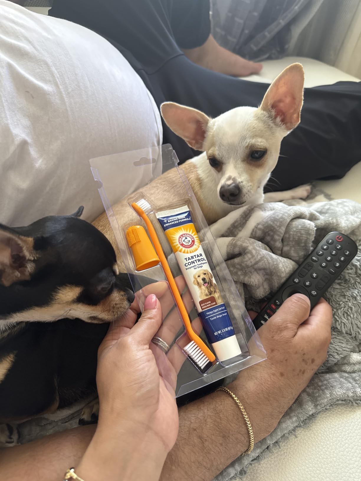 Arm & Hammer Tartar Control Dog Dental Kit, Beef Flavor, 3-Piece | Enzymatic toothpaste with toothbrush and fingerbrush, baking soda formula safe for puppies customer photo 1