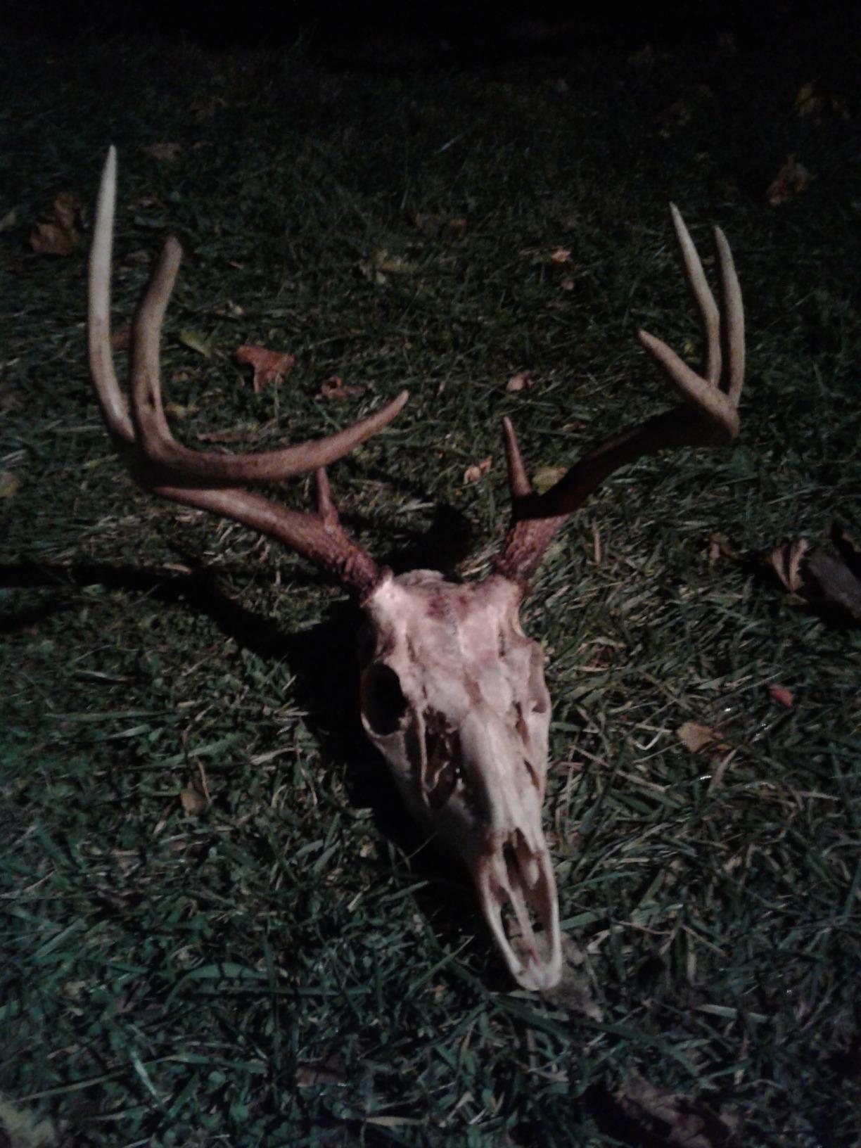 Hunters Specialties Hunting Ruttin' Buck Rattling Bag Deer Call - One-Hand Operation Realistic Buck Vocalizations for Pre-Rut/Rut Periods customer photo 1