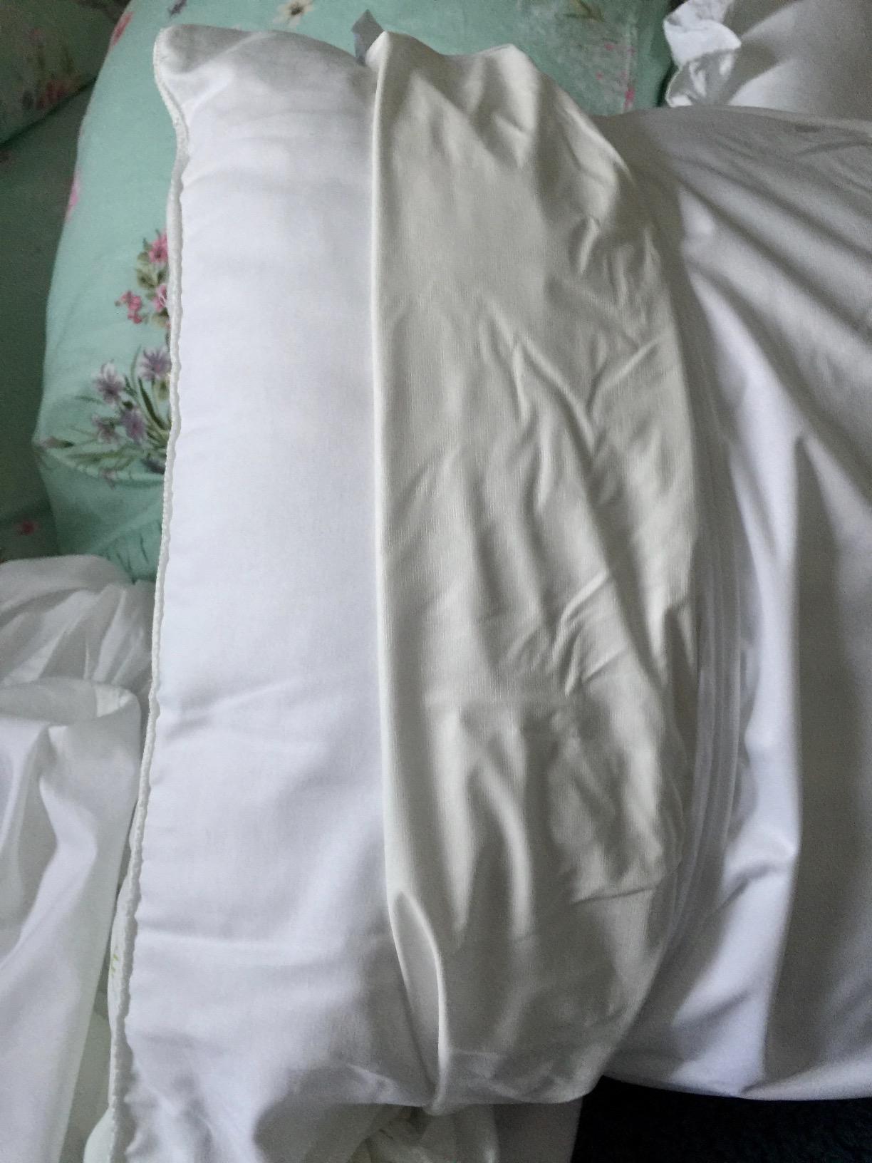 Guardmax Jersey Knitted Pillow Protector with Zipper Queen Size - 2 Pack - 100% Waterproof, Bed Bug Proof, Dust Mite Proof, & Hypoallergenic Pillow Covers - Premium Zippered Pillow Cases. (20 X 30) customer photo 1