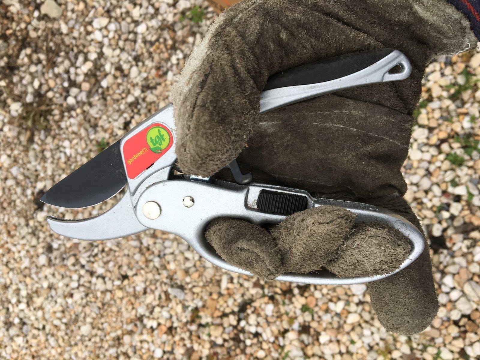 The Gardener's Friend Heavy Duty Ratchet Pruning Shears, Anvil customer photo 2