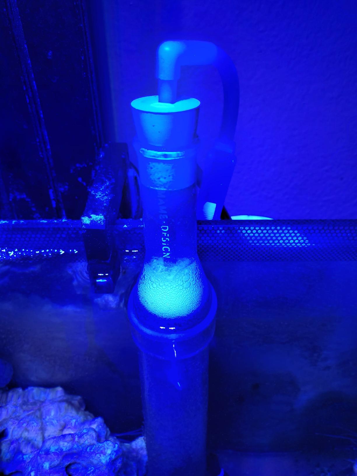 mame skimmer 3 protein skimmer customer photo 2