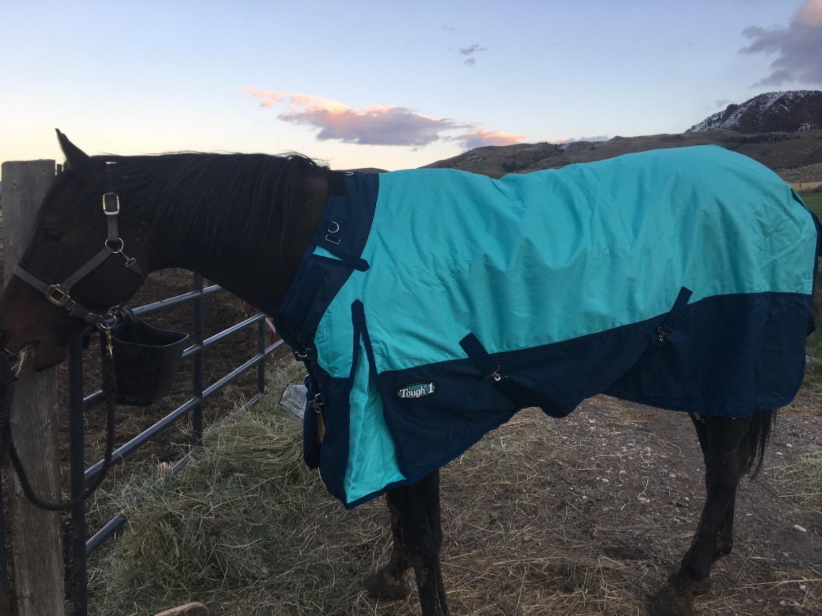 TOUGH1 1200D Turnout Blanket with SNUGGIT, 300-G, Burgundy, 78-in customer photo 1