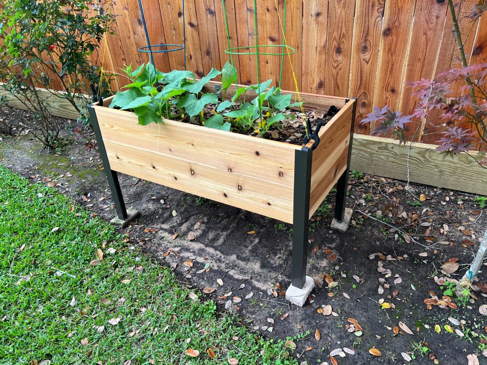 Gardener's Supply Company Elevated Cedar Raised Garden Bed 2' x 8' customer photo 2