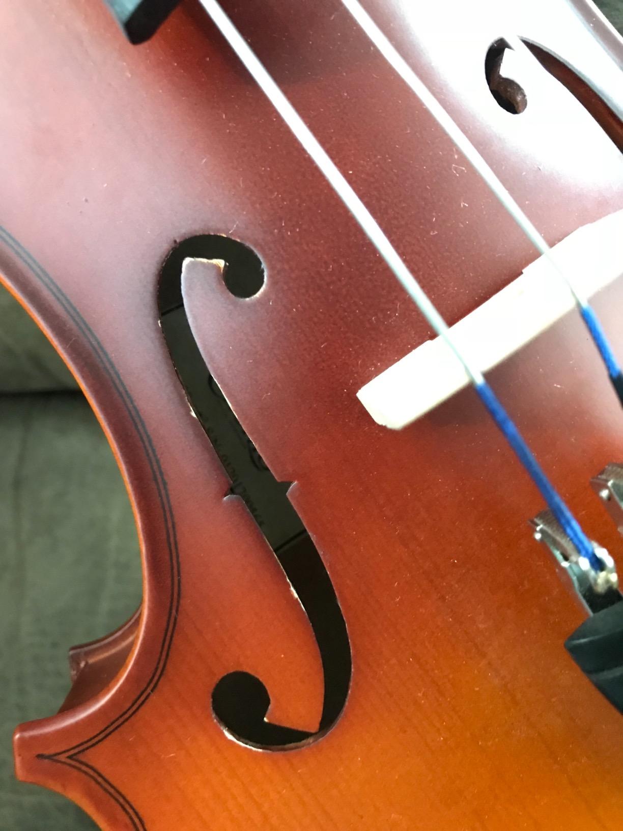 Cecilio Solid Wood Viola 16 Inch Viola Full Size, Professional Handcrafted Acoustic Viola with Ebony Fittings, D'Addario Prelude Strings, Antique Satin Finish customer photo 1