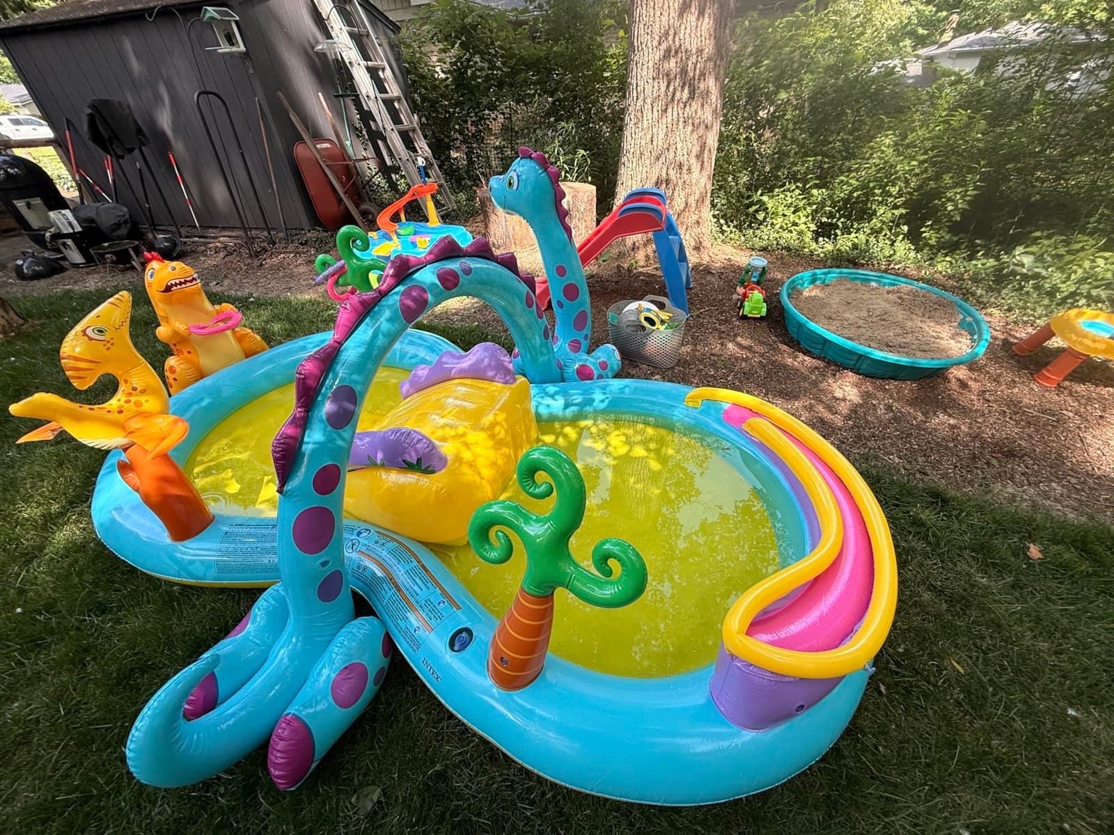 INTEX Dinoland Inflatable Swim Center & Kiddie Pool for Outdoor Play customer photo 1