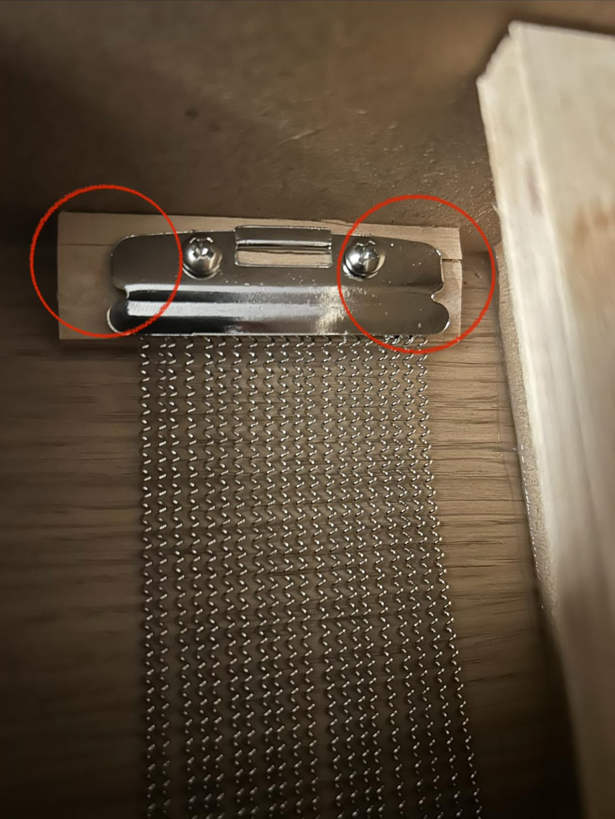 Meinl Slaptop Cajon Box Drum with Internal Snares and Forward Projecting Sound Ports - NOT MADE IN CHINA - Walnut Playing Surface, 2-YEAR WARRANTY (TOPCAJ2WN) customer photo 1