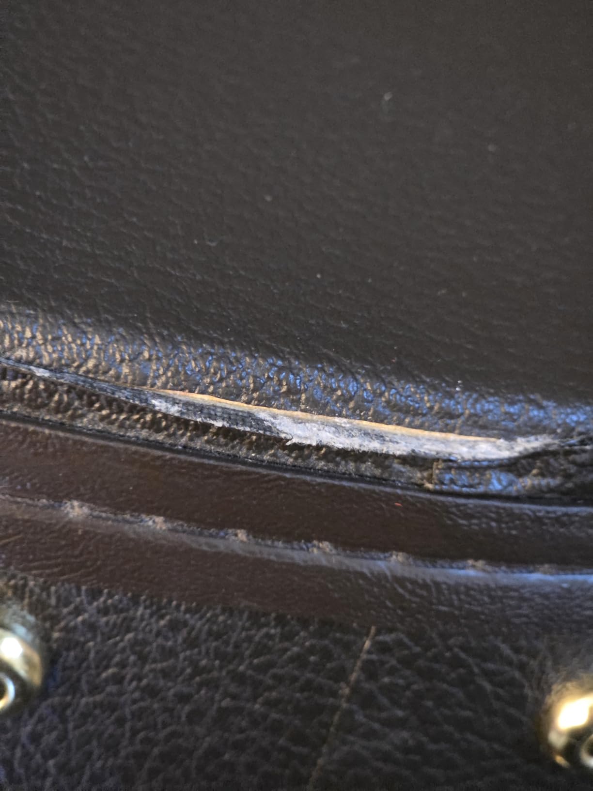 Taylor Deluxe Hardshell Grand Auditorium Case customer photo 2