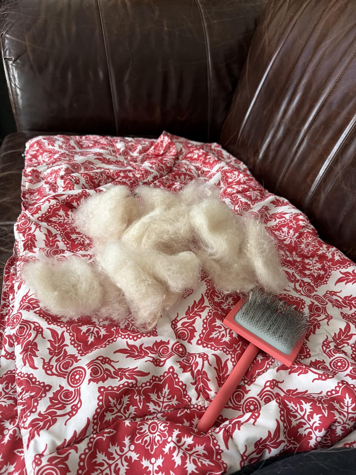 Chris Christensen Big G Dog Slicker Brush for Dogs (Goldendoodles, Labradoodles, Poodles), Groom Like a Professional, Fluff Detangle Style, Saves Time Energy, Coral, Large customer photo 2