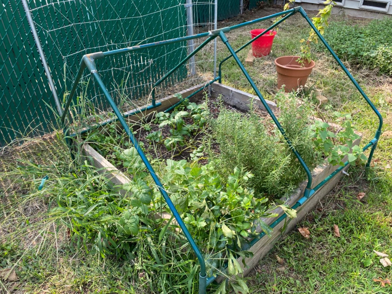 Frame It All Greenhouse, 4-Feet by 4-Feet by 36-Inch customer photo 2
