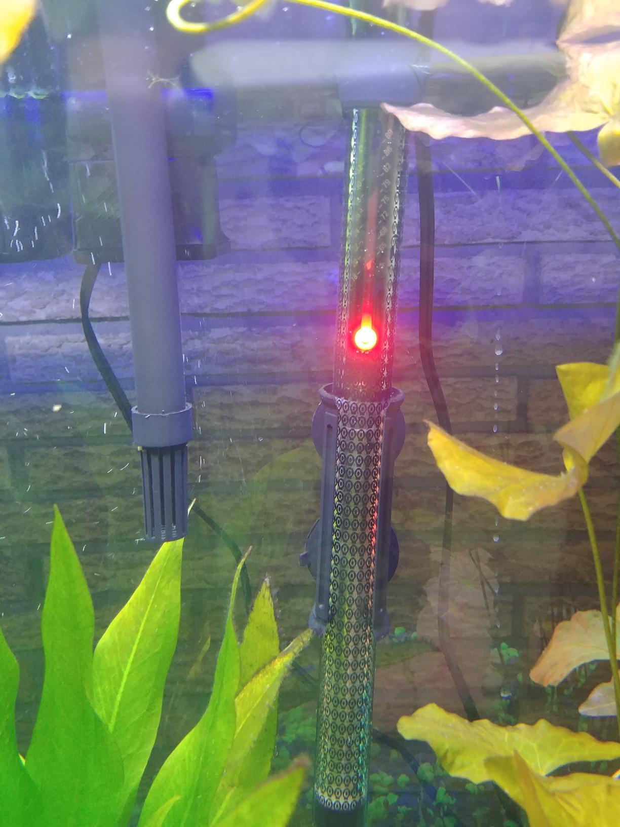 Marineland Precision Heater for Saltwater or Freshwater Aquariums customer photo 1