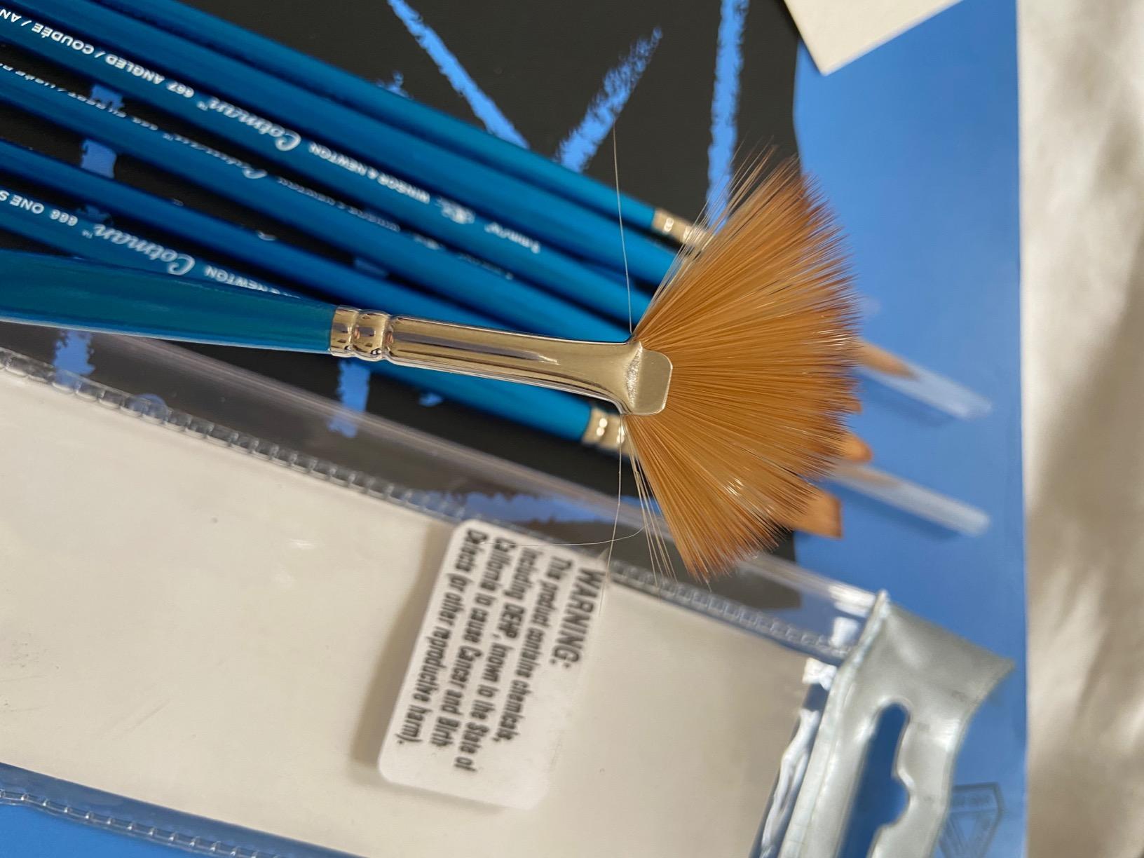 Winsor & Newton Cotman Brush Set, 7-Piece, Round, Rigger & Multi-Shape customer photo 2